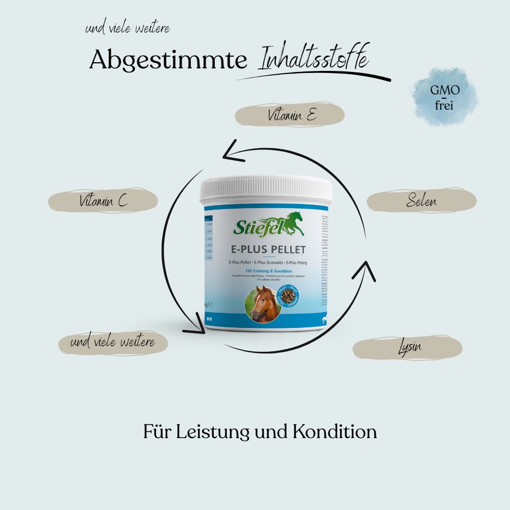 Weißes Produktglas mit grünem Etikett. Aufschrift: Stiefel E-Plus Pellet. Enthält Vitamin E, C, Selen und Lysin. GMO-frei.