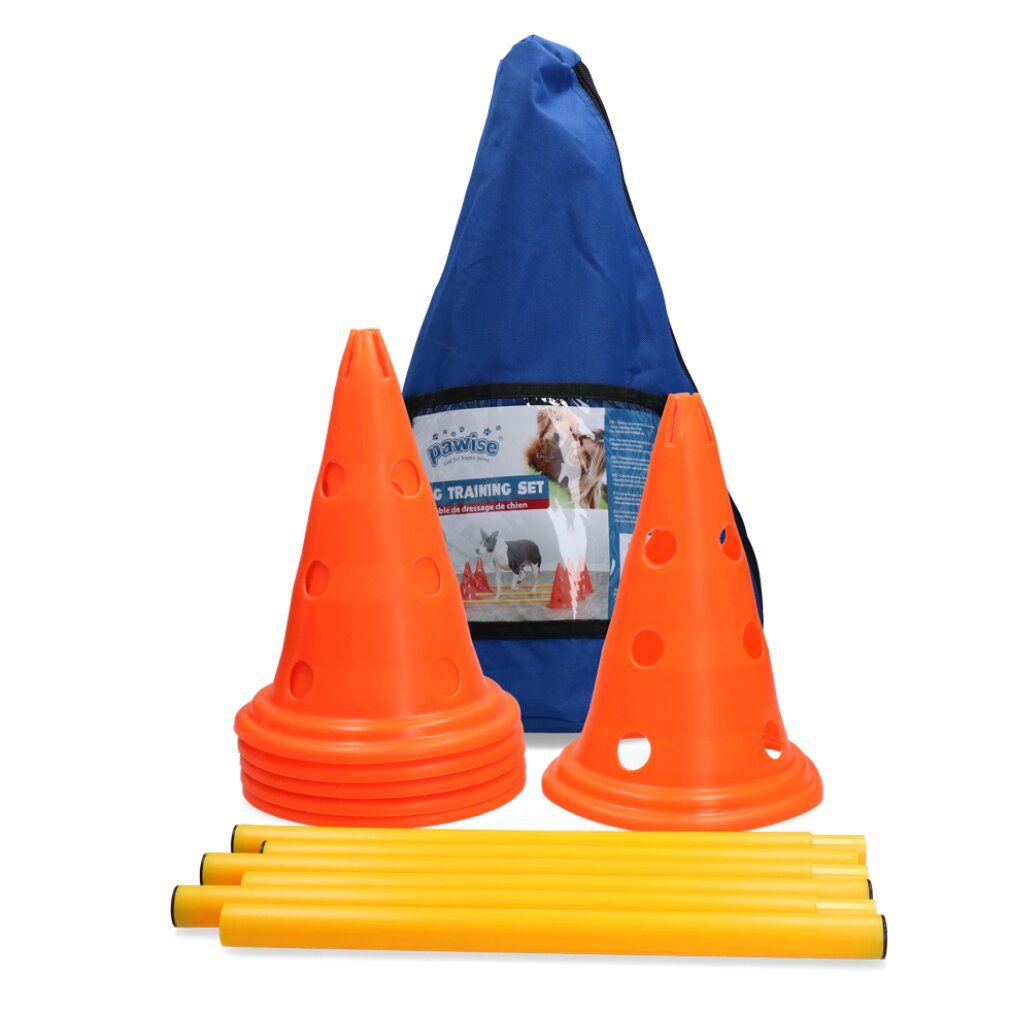 Pawise Dog Activity set, 3 ostacoli, piccoli piloni, 23*32cm
