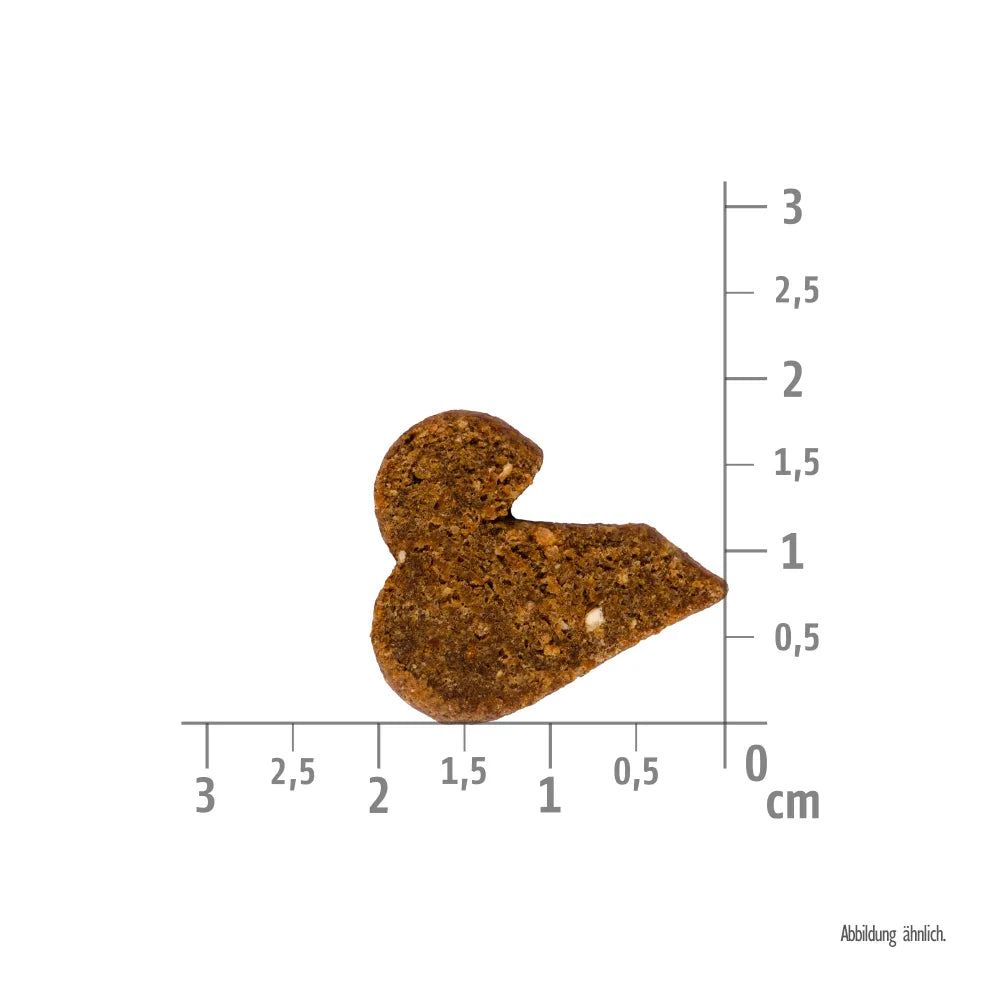 Brit Care Dog - Functional Snack - Immunity Insect - Insect enriched with Ginger