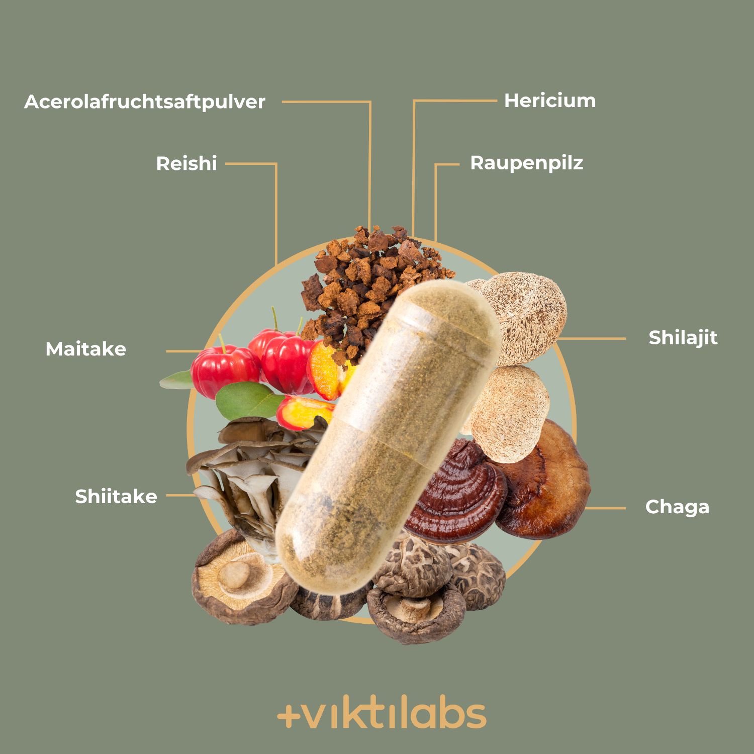 Kapsel umgeben von verschiedenen Vitalpilzen und Acerolafrucht.