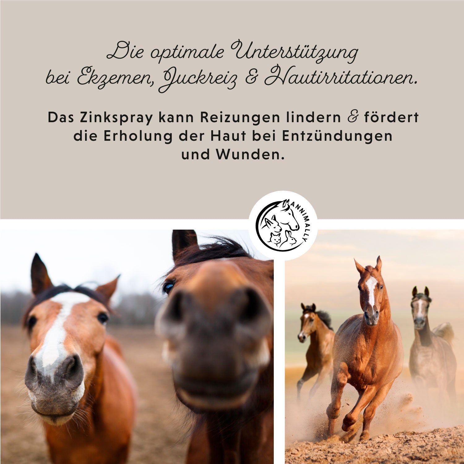 Text über Zinkspray Plus. Logo: Annimally. Pferde im Hintergrund. Text: Die optimale Unterstützung bei Ekzemen, Juckreiz & Hautreizungen.