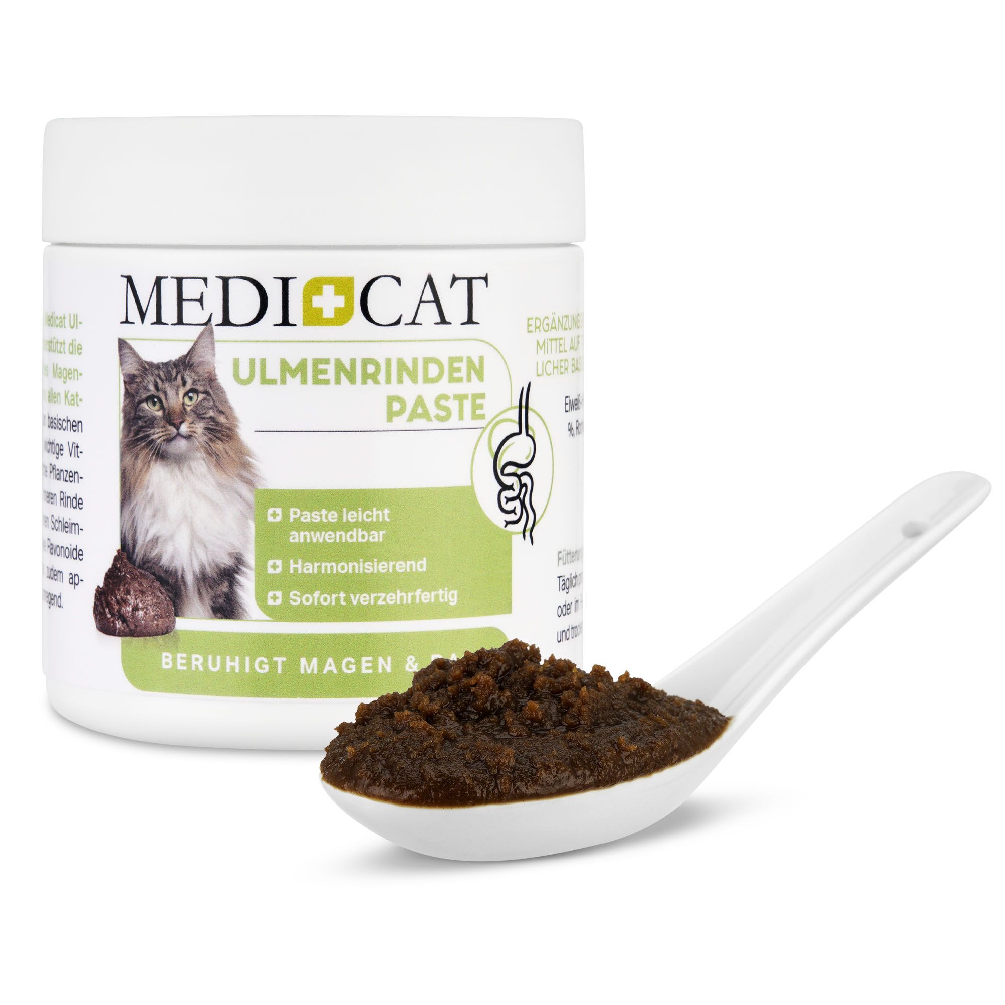 Medicat Ulmenrinden Paste 200 g