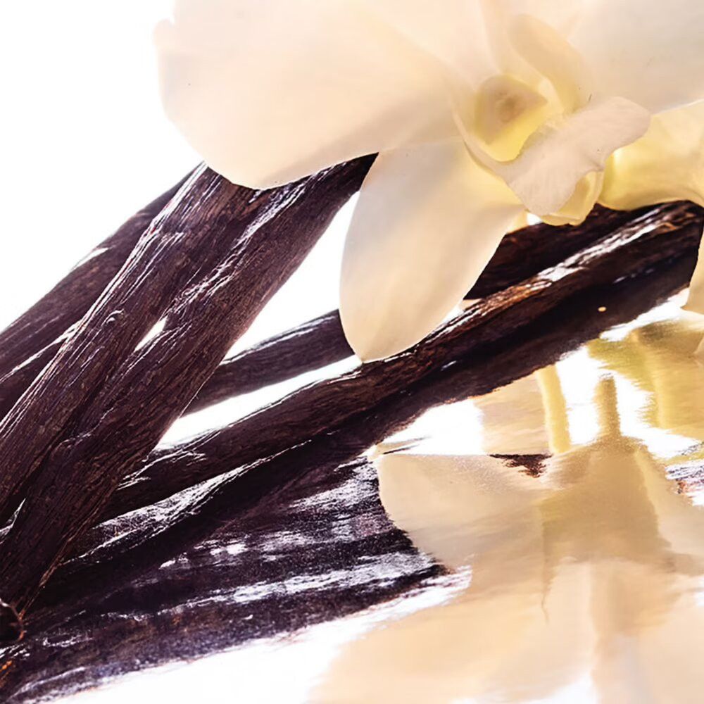 Nahaufnahme von Vanilleschoten und einer weißen Blüte. Schoten sind dunkelbraun, Blüte weiß mit gelben Akzenten. Reflektierender Hintergrund.