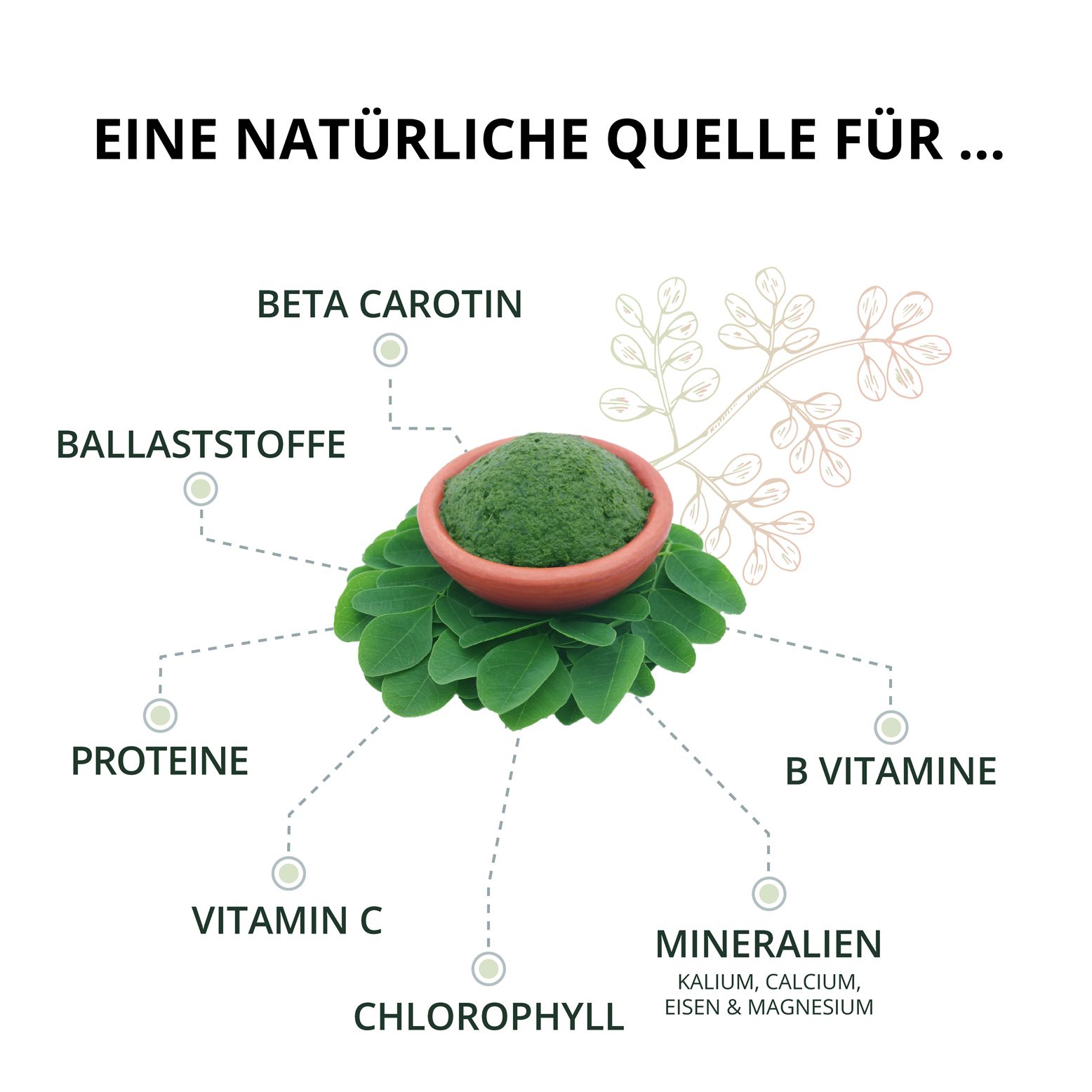 VEGAVERO Moringa BIO