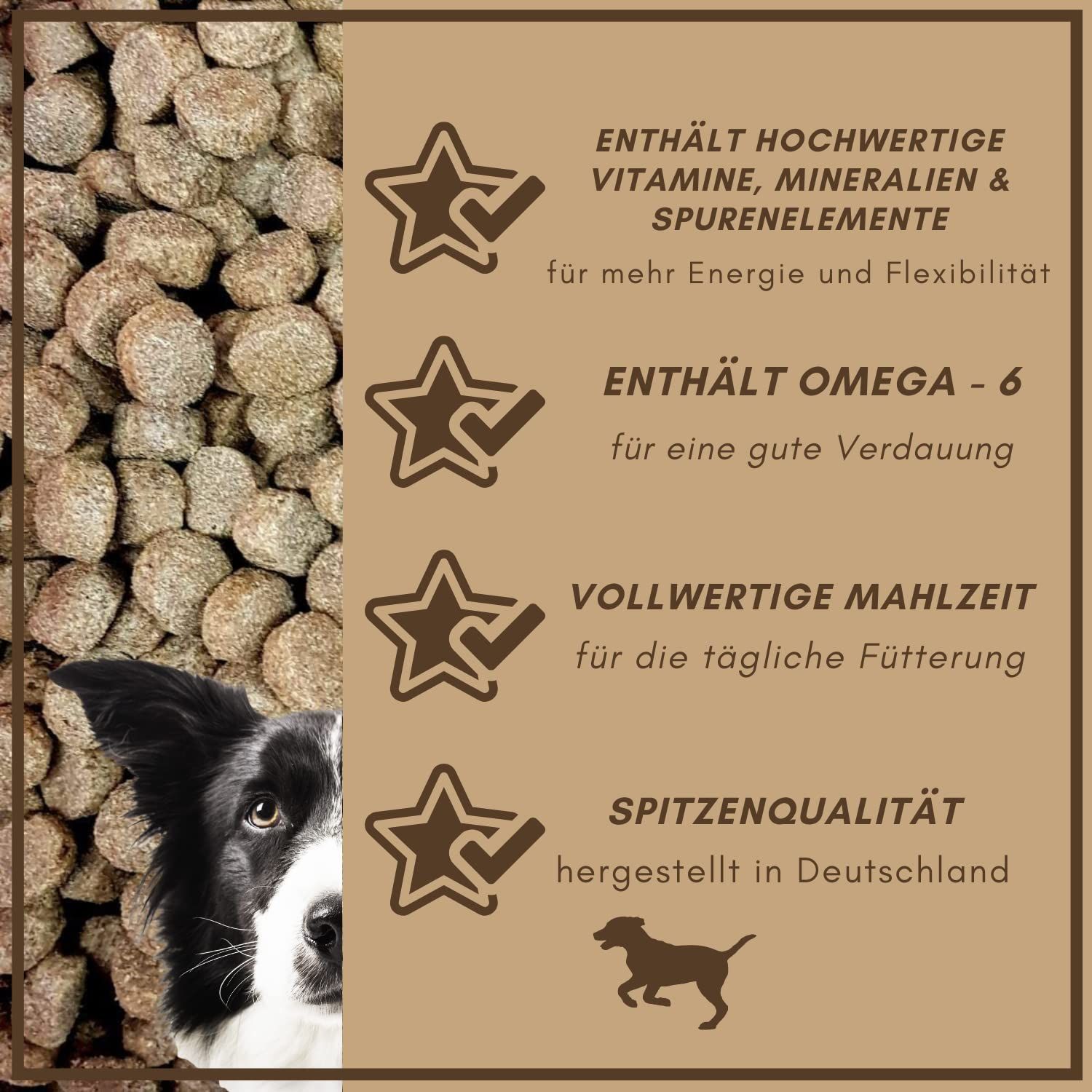 Text mit Sternen: Vitamine, Omega-6, Vollwertige Mahlzeit, Spitzenqualität. Hund.