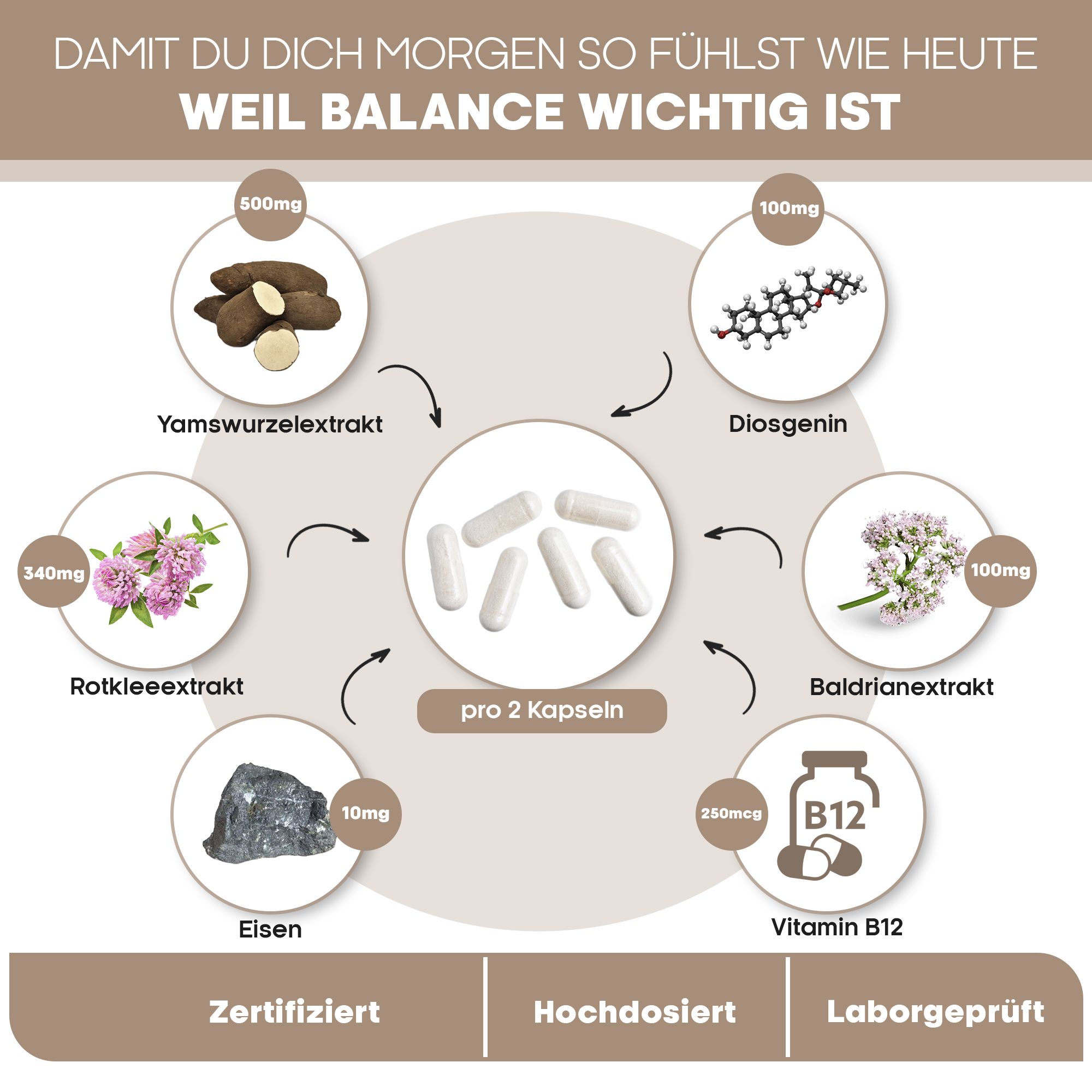 Grafische Darstellung der Inhaltsstoffe: Yamswurzelextrakt, Diosgenin, Baldrianextrakt, Vitamin B12, Eisen und Rotkleeextrakt. Pro 2 Kapseln.