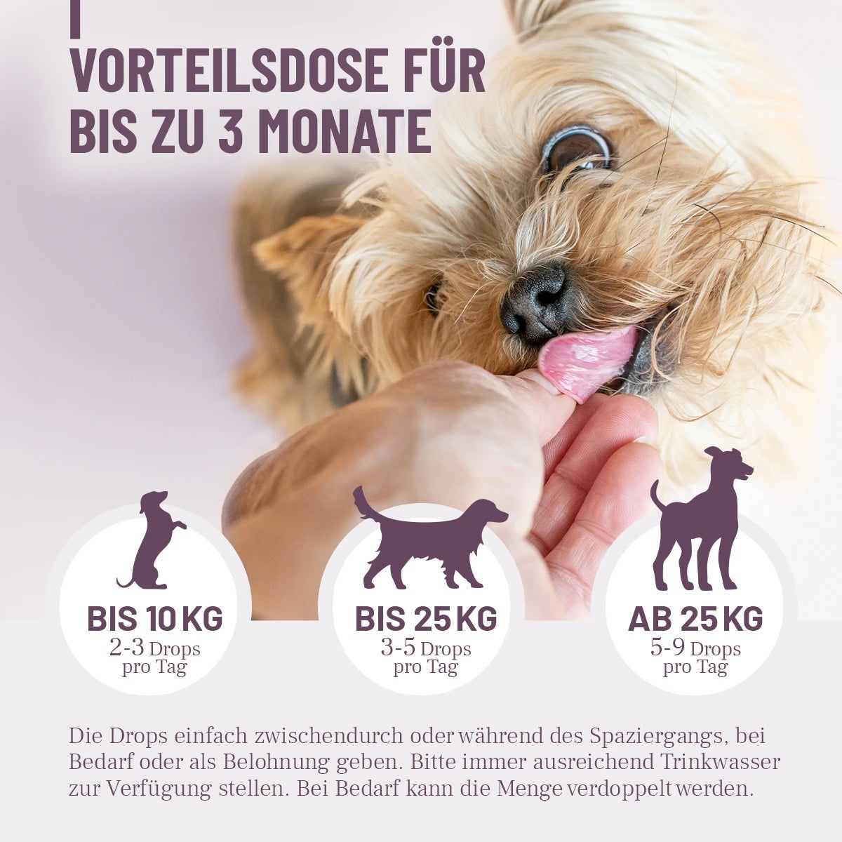 Hund bekommt Drops. Text: Vorteilspackung für bis zu 3 Monate. Dosierung nach Gewicht. Die Drops einfach zwischendurch geben.