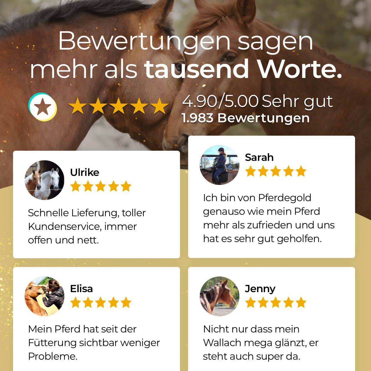 Kundenbewertungen für Pferdegold Rosse: 4.90/5.00 Sterne, positive Erfahrungsberichte von Ulrike, Elisa, Sarah und Jenny.