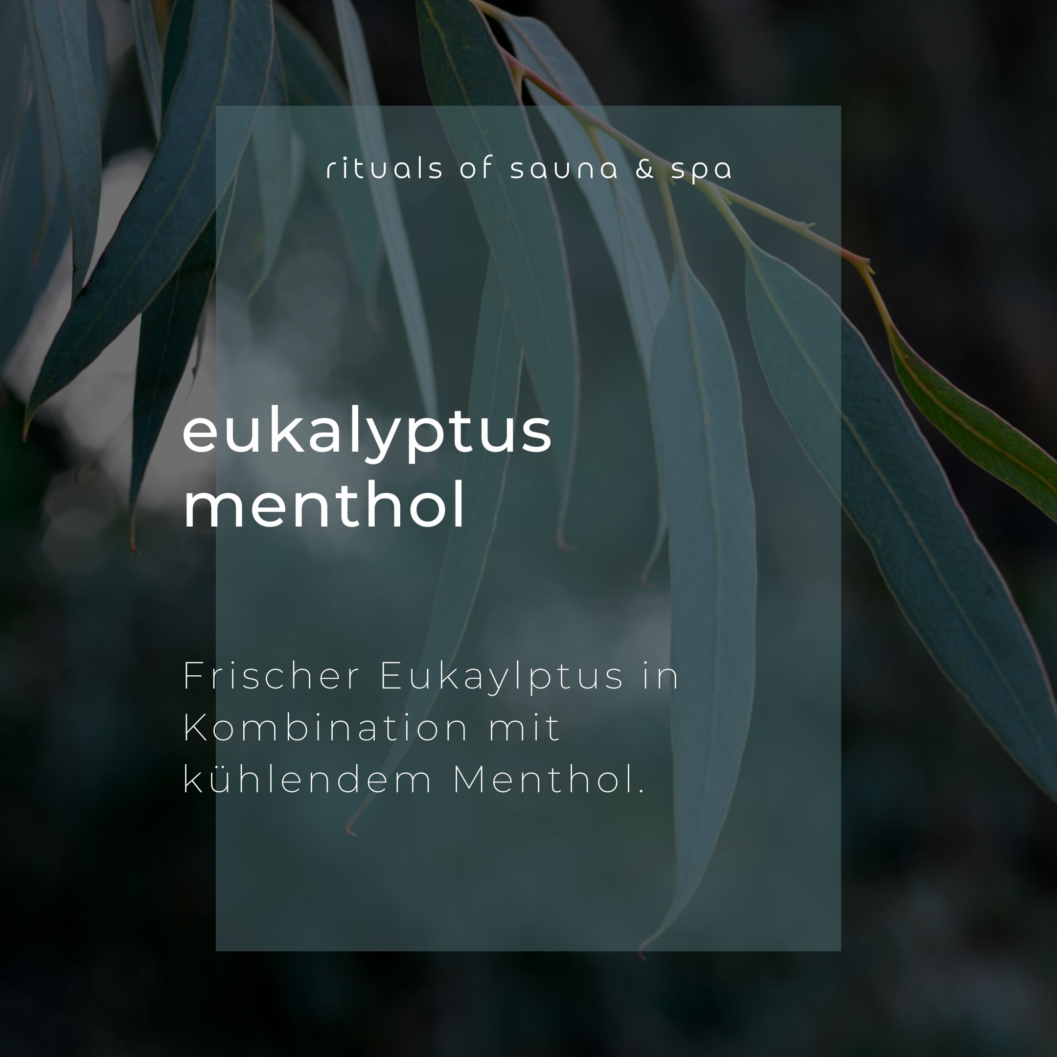 Wellow Sauna-Aufguss Eukalyptus-Menthol