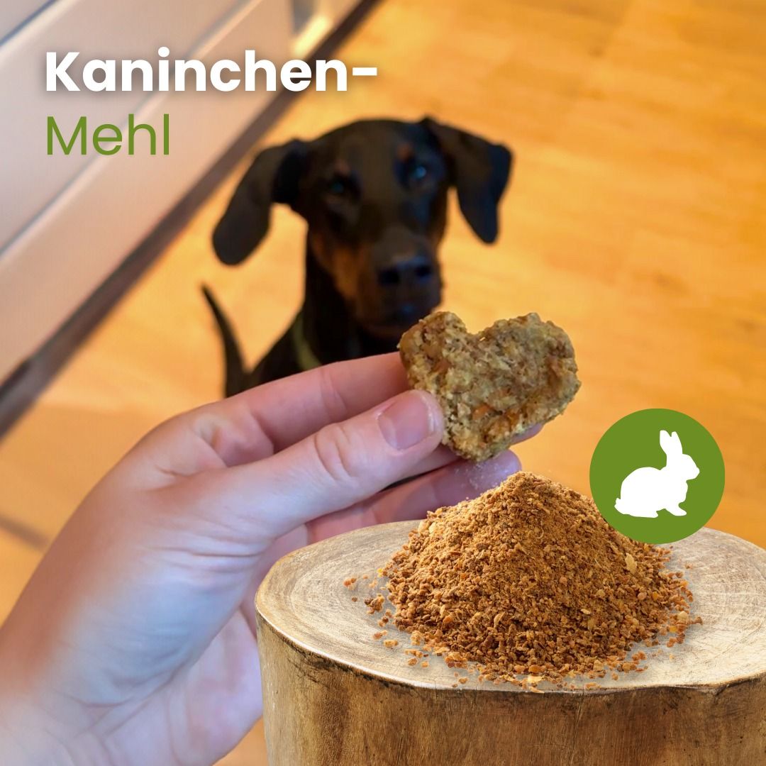 Eine Hand hält einen herzförmigen Keks aus Kaninchen-Mehl, daneben ein Haufen Mehl.