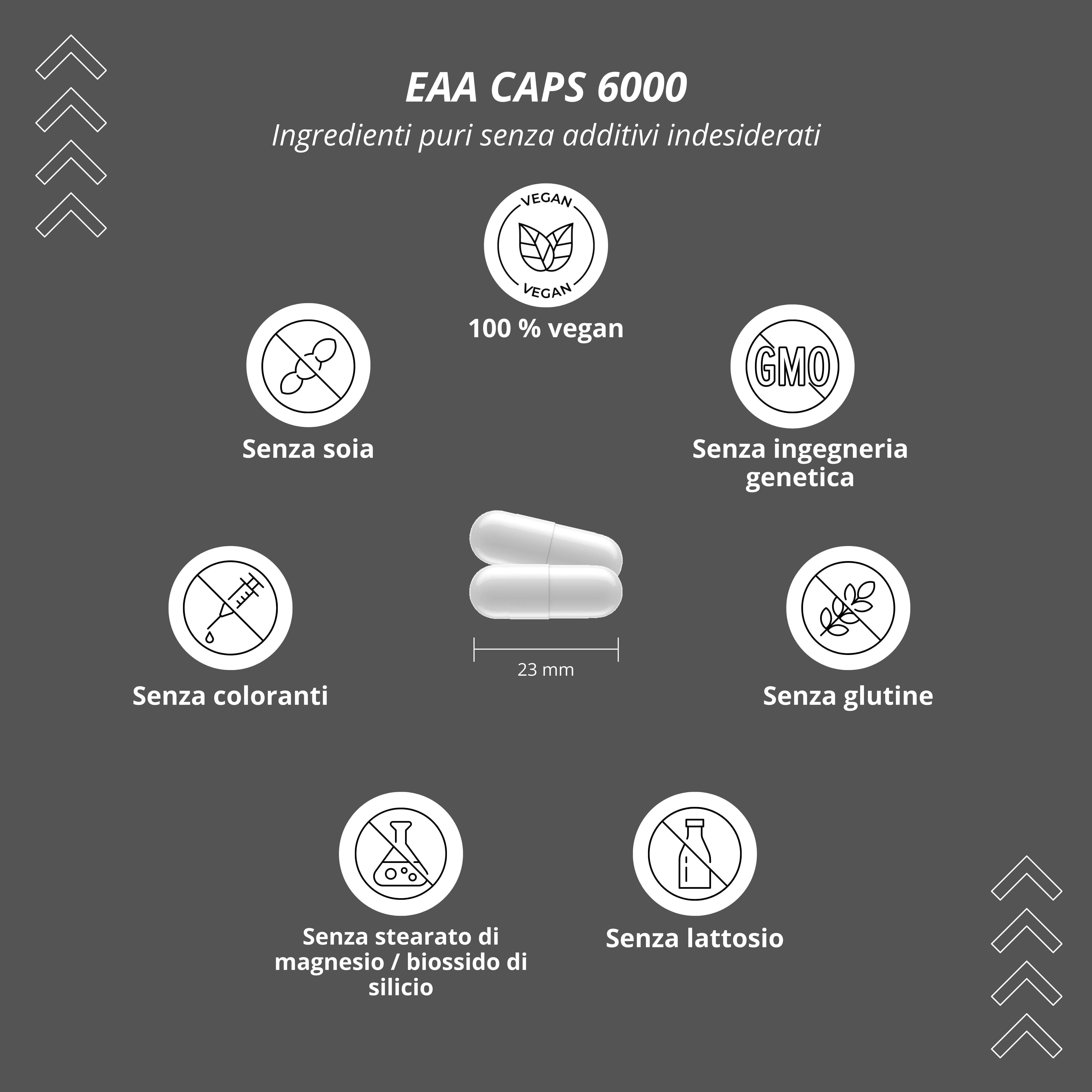Grafik mit Symbolen: vegan, 100% vegan, ohne Soja, ohne Farbstoffe, ohne Gentechnik, ohne Gluten, ohne Magnesiumstearat, ohne Laktose.