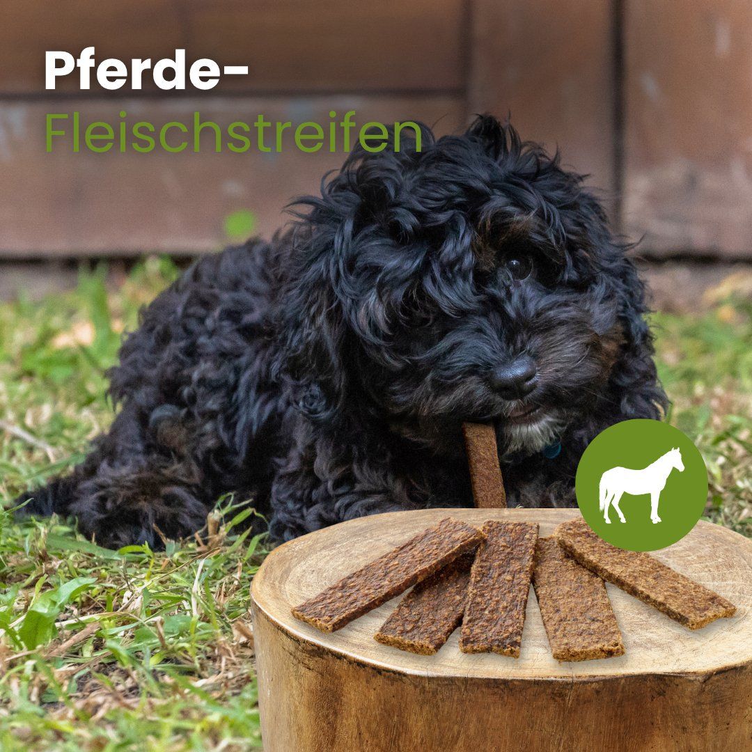 Pferde-Fleischstreifen für Hunde, auf einem Baumstumpf liegend, daneben ein Hund.
