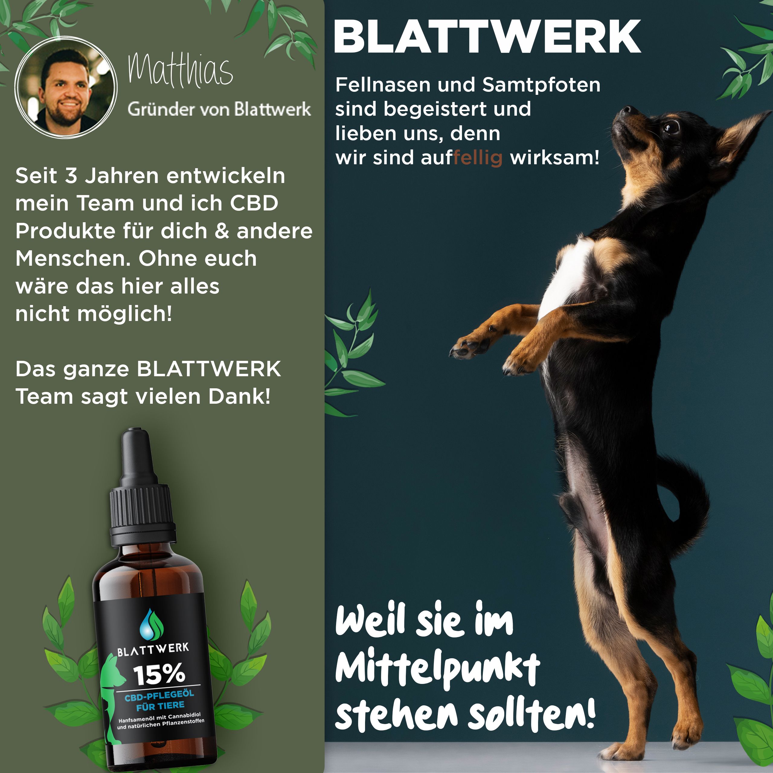 15% CBD Öl für Hunde & Katzen - Deutsche Qualität - CBD Öl Hund - 10ml - 250 CBD Tropfen - BLATTWERK