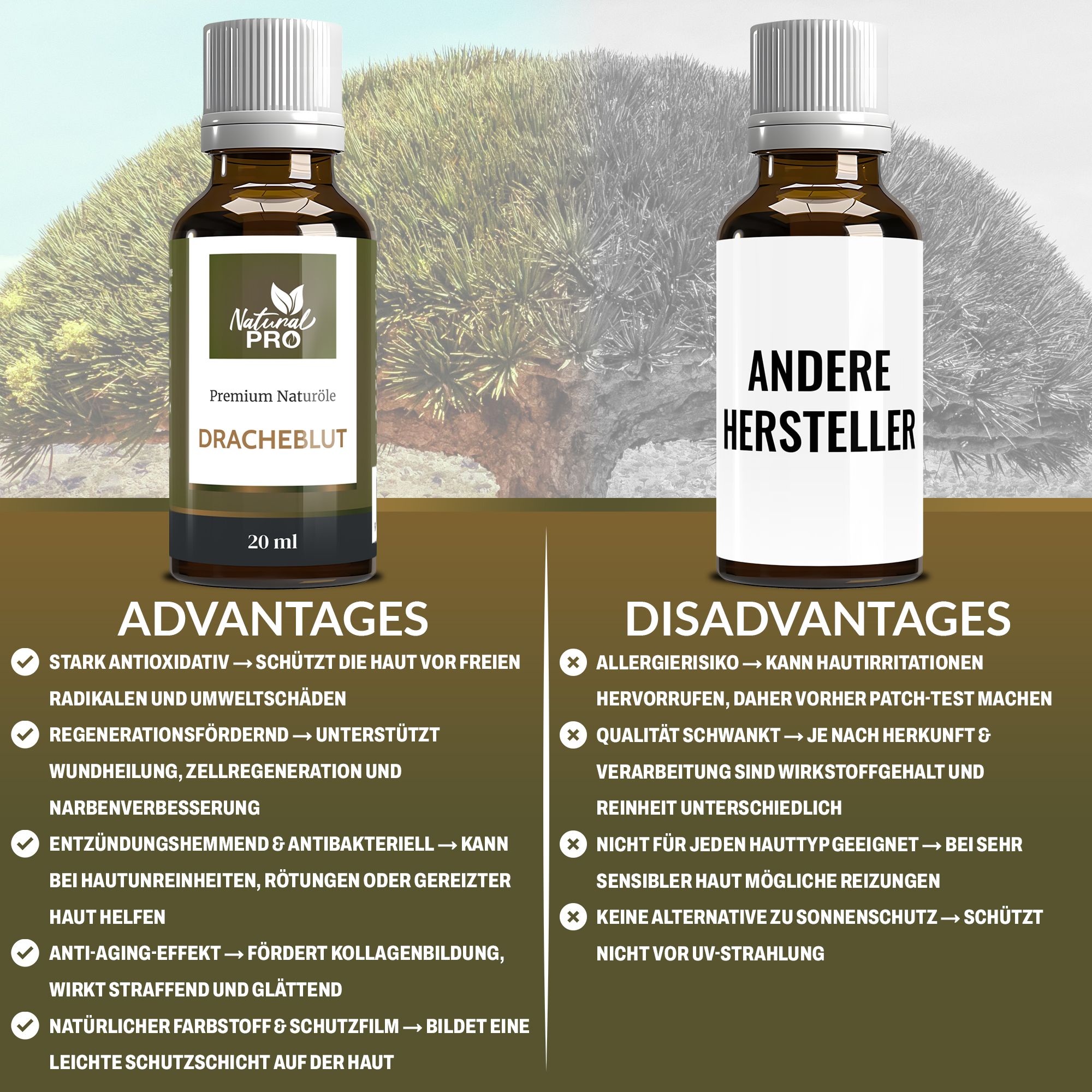 Natural Pro | Drachenblut