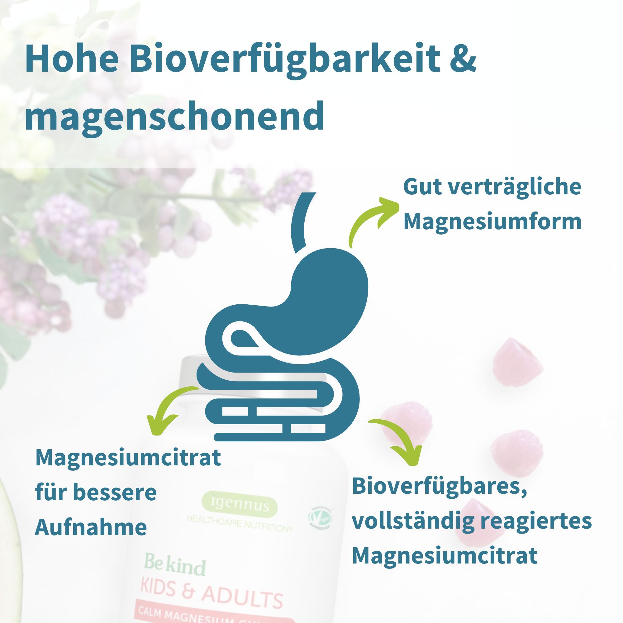 Grafik mit Magen und Magnesiumcitrat. Text: Hohe Bioverfügbarkeit, magenschonend, gut verträgliche Form, bessere Aufnahme.