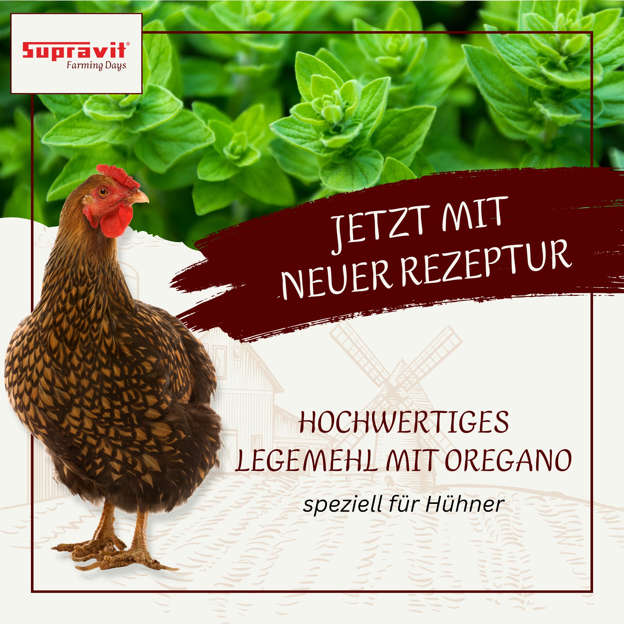 Supravit Legemehl für Hühner