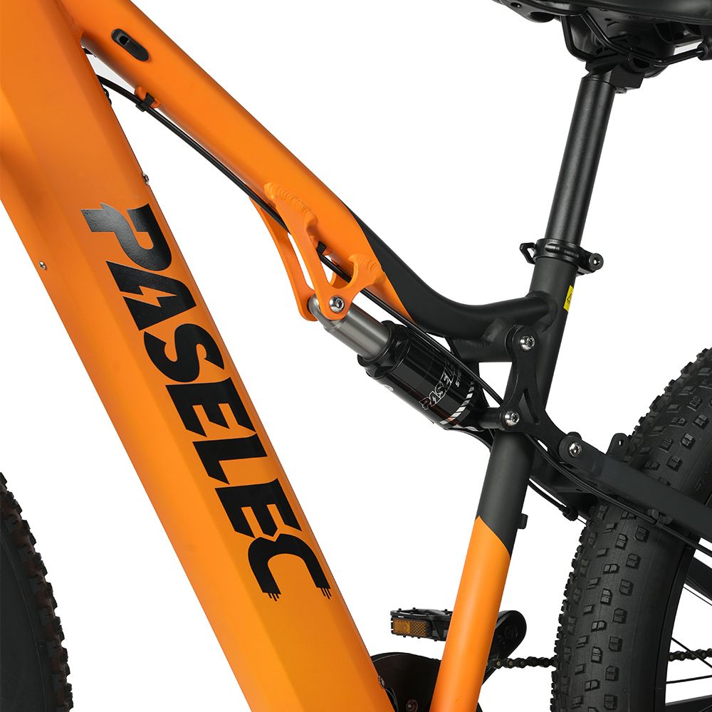 Paselec GS9 Elektrisches Mountainbike, 48V 16Ah herausnehmbarer Akku