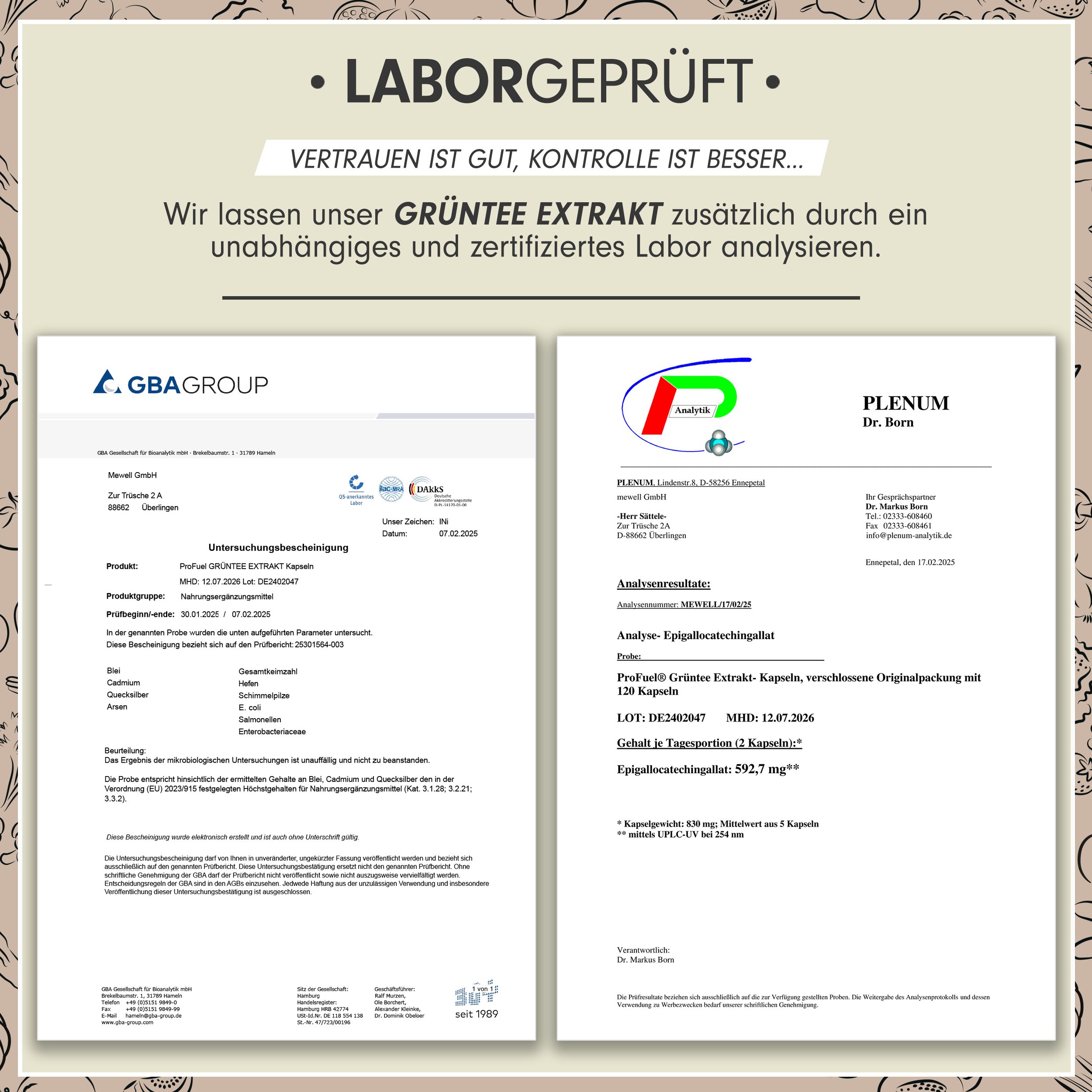 Zertifikate von unabhängigen Laboren, die Grüntee Extrakt analysieren. Dokumente mit Testergebnissen und Analysen.