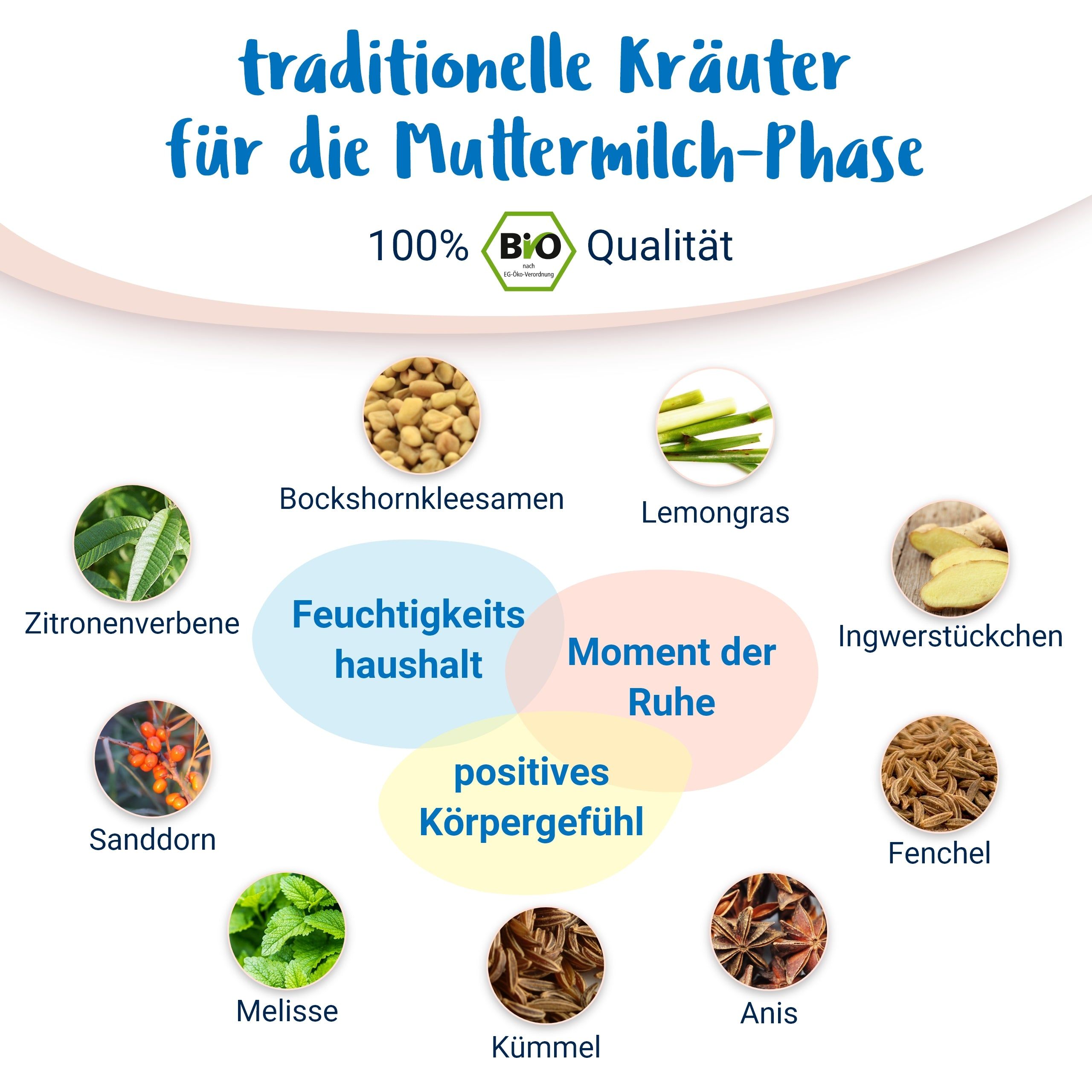 Glückliche Stillzeit BIO Schwangerschaftstee mit Bockshornklee - von PregniVital®