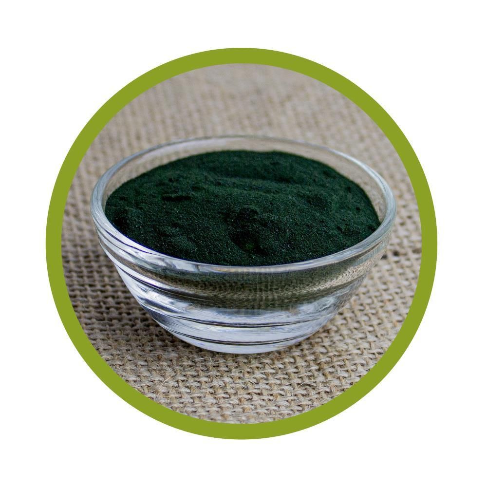 vitalundfitmit100® Original Spirulina Pulver aus Hawaii