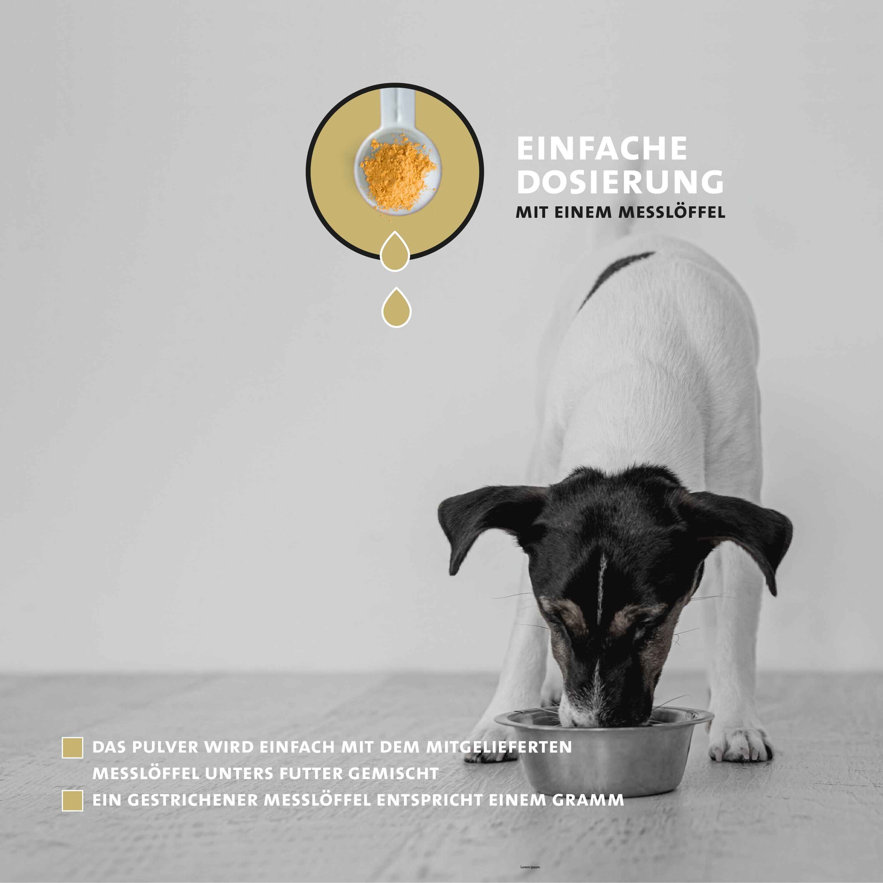 Hund frisst aus Napf. Messlöffel mit Pulver. Text: Einfache Dosierung mit Messlöffel. Pulver mit Futter mischen.