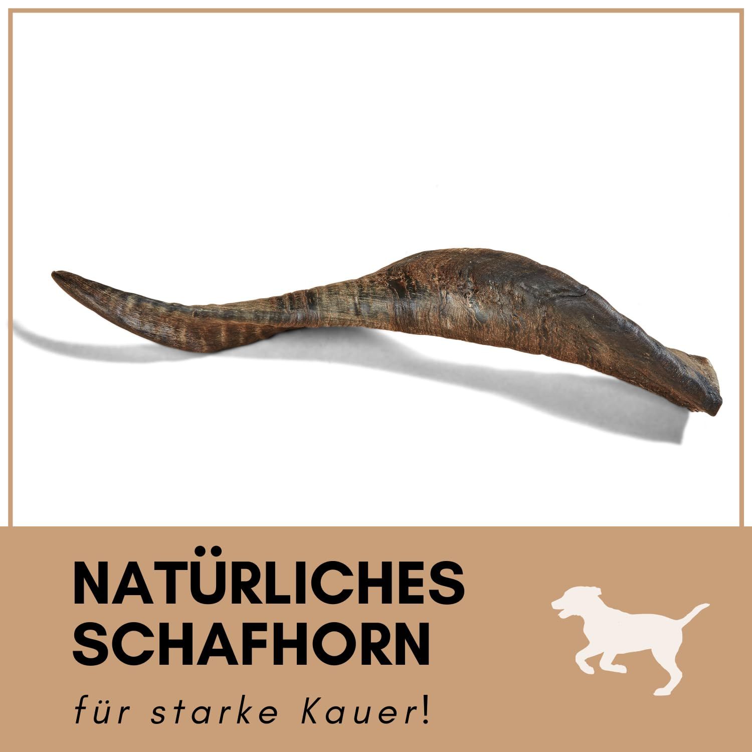 Schafhorn, natürliches Kauspielzeug für Hunde. Text: Natürliches Schafhorn, für starke Kauer!
