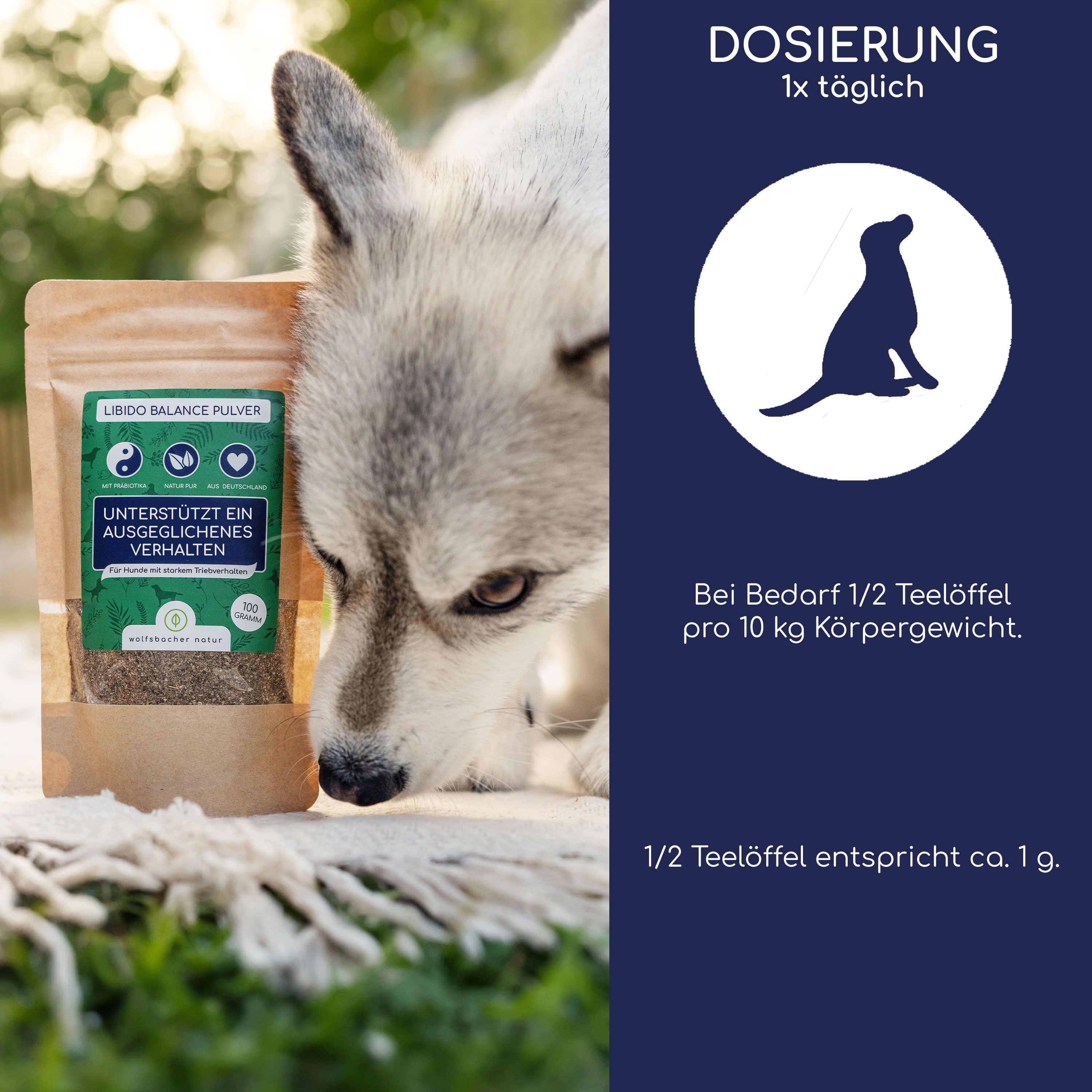 Hund schnuppert an Beutel Libido Balance Pulver. Text: Dosierung 1x täglich. Bei Bedarf 1/2 Teelöffel pro 10 kg Körpergewicht.