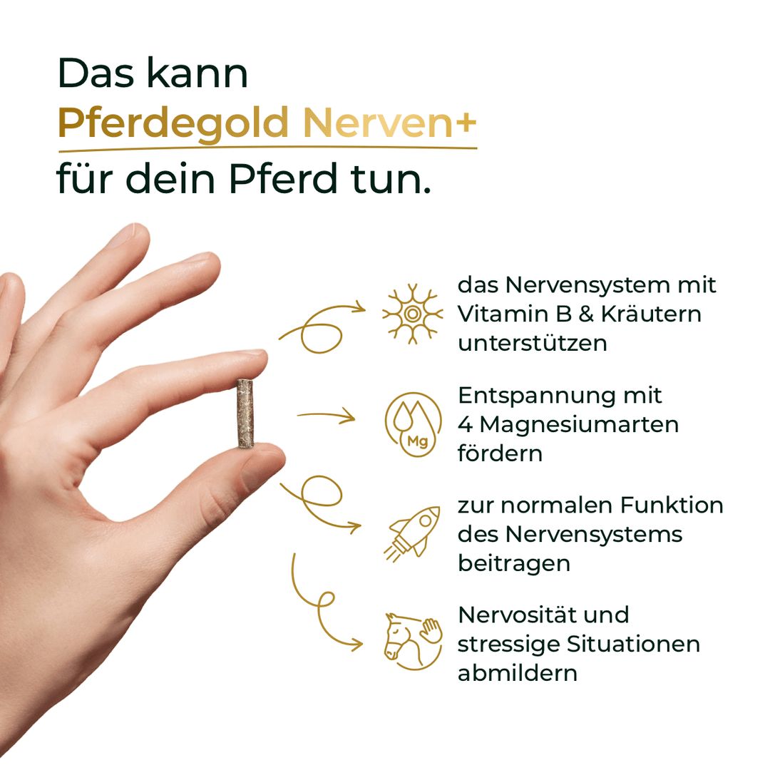 Pferdegold Nerven+