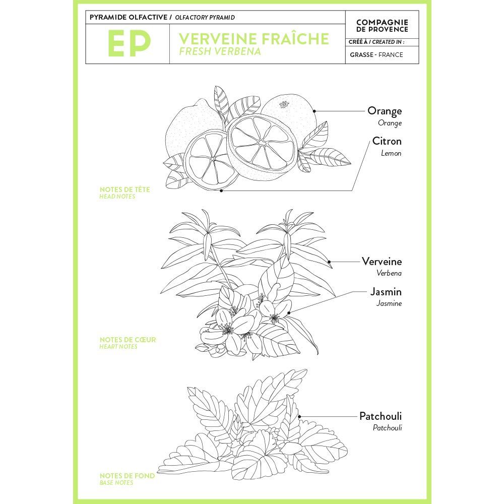 Grafik mit Duftpyramide. Zeichnungen von Zitrone, Orange, Verbene, Jasmin und Patchouli. Text: Verveine Fraîche, Compagnie de Provence.