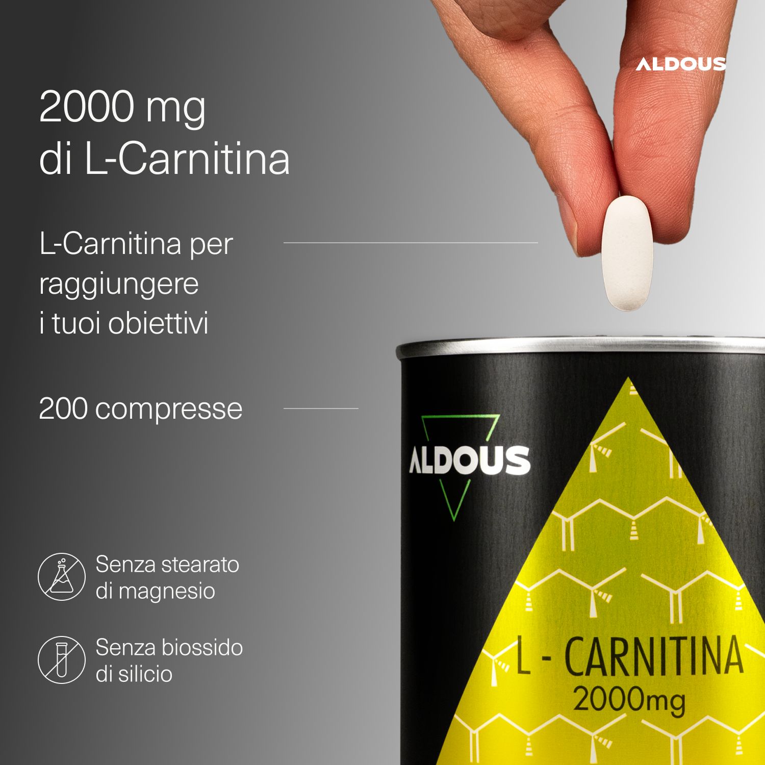 Aldous L-Carnitina Dose und eine einzelne Tablette. 2000mg L-Carnitin, 200 Tabletten.