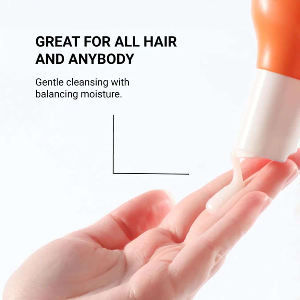 LOMA  Shampoo