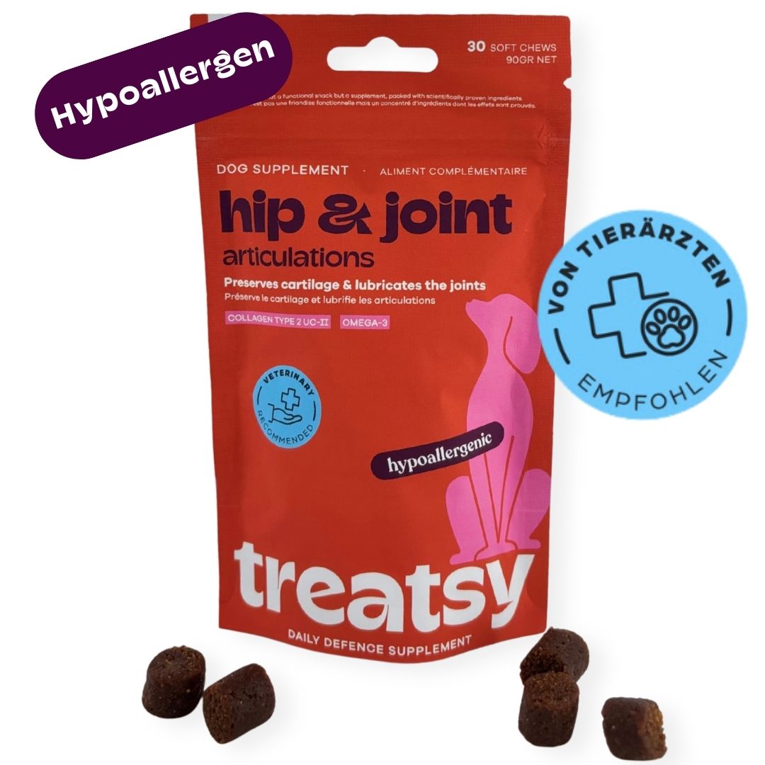 Rote Tüte mit Produkt für Hunde. Aufschrift: Hip & Joint, Articulations. Braune, runde Kausnacks liegen daneben.