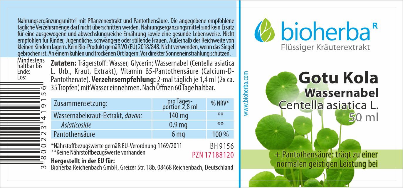 Gotu Kola Wassernabel Centella asiatica L. Tropfen Tinktur 50 ml PZN 17188120