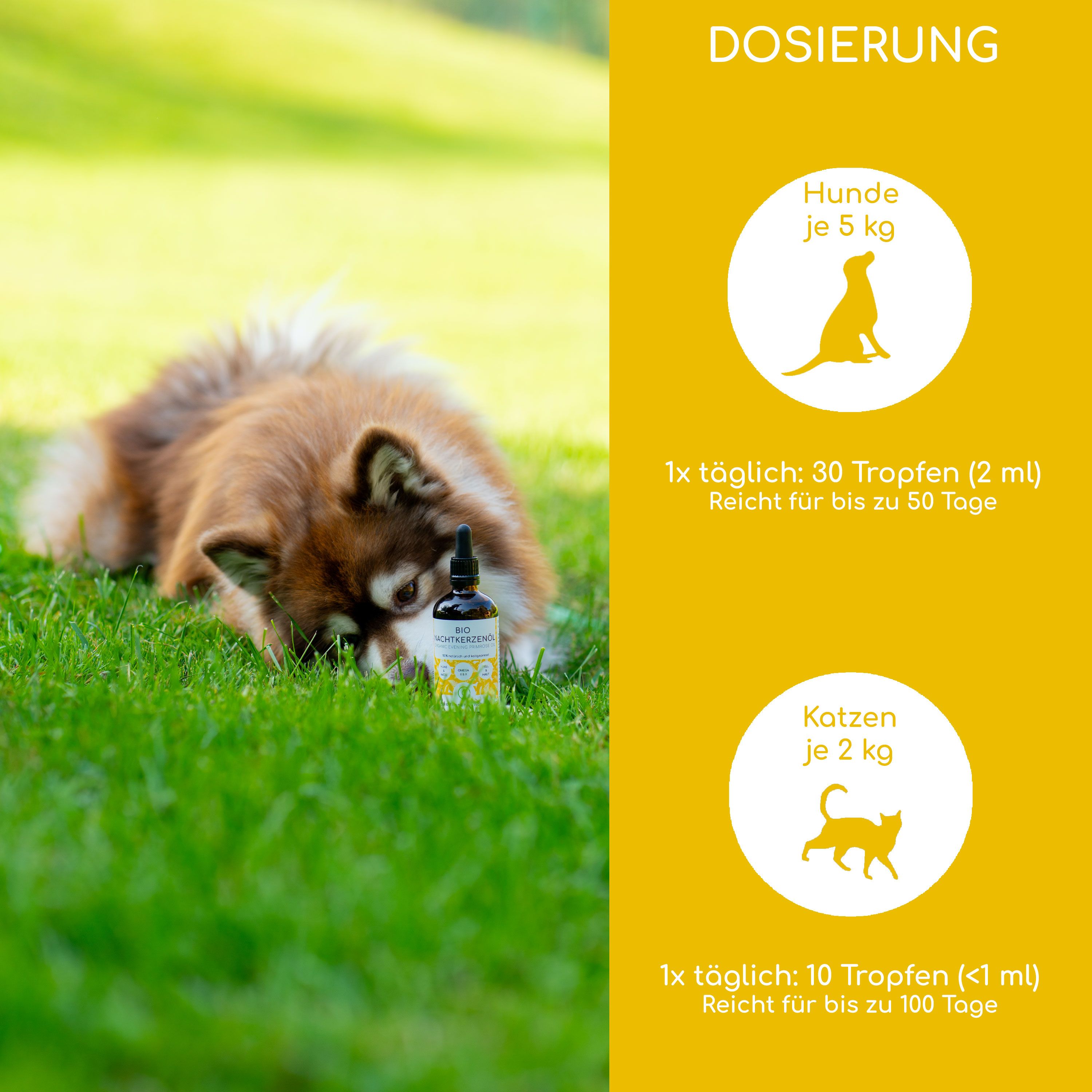 Hund und Katze im Gras. Dosierungstabelle: Hunde je 5 kg, Katzen je 2 kg. Flasche mit Produkt.
