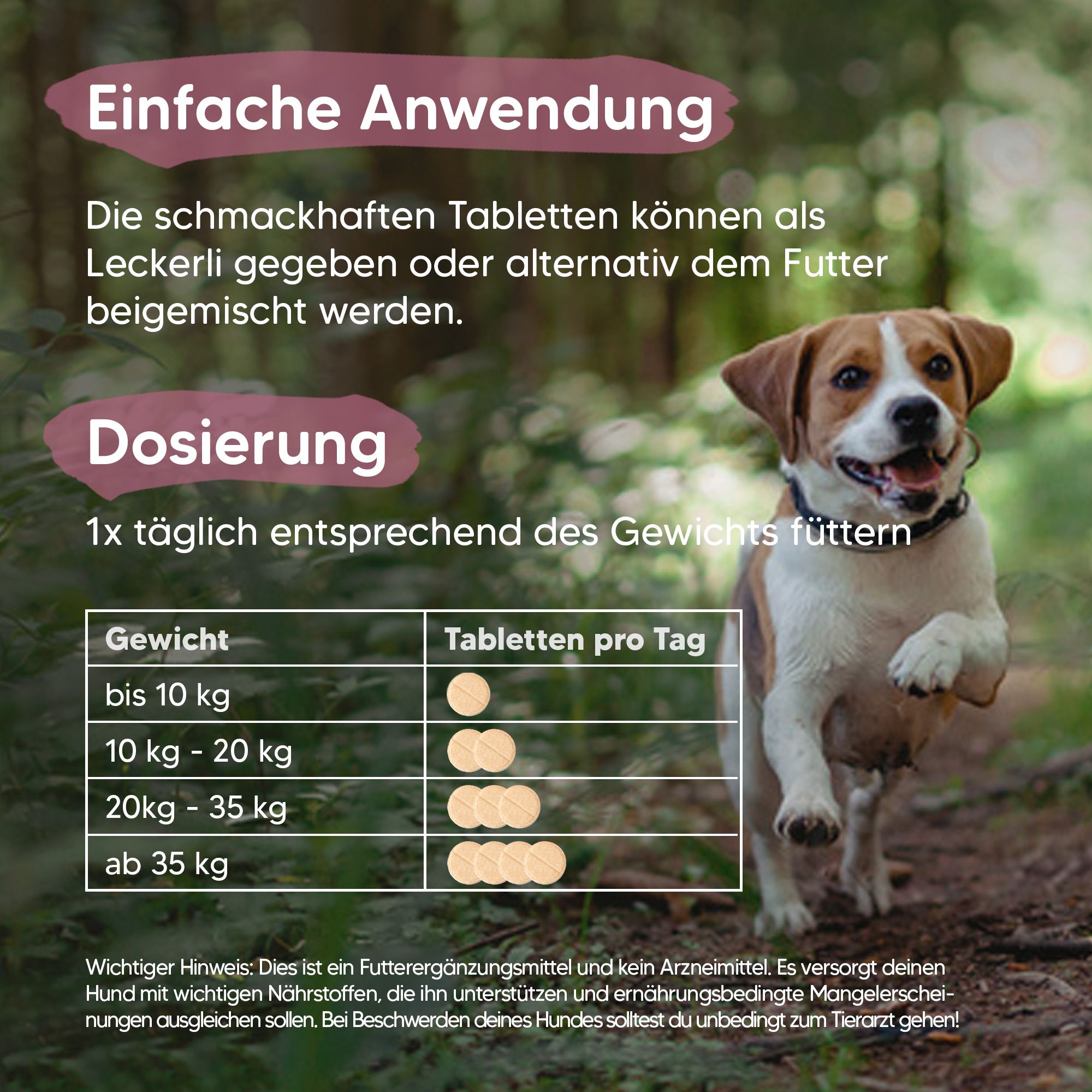 Tabelle zur Dosierung von Tabletten. Hunde abgebildet. Text: Einfache Anwendung, Dosierung. Gewicht und Tabletten pro Tag.