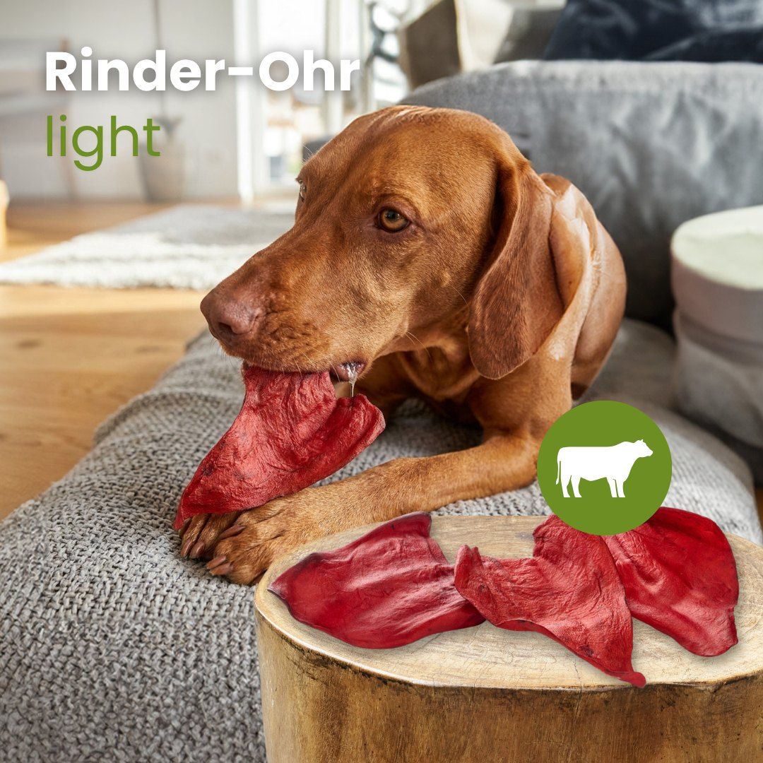 Ein Hund kaut auf einem roten Rinderohr light. Mehrere weitere liegen daneben.