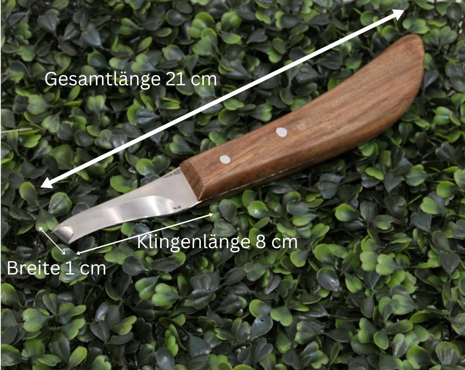 AMKA Hufmesser rechts einschneidig mit Holzgriff
