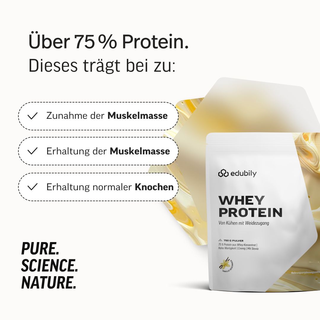 Über 75% Protein. Trägt zu Zunahme/Erhaltung der Muskelmasse und Erhaltung normaler Knochen bei. edubily® Whey Protein Vanille.