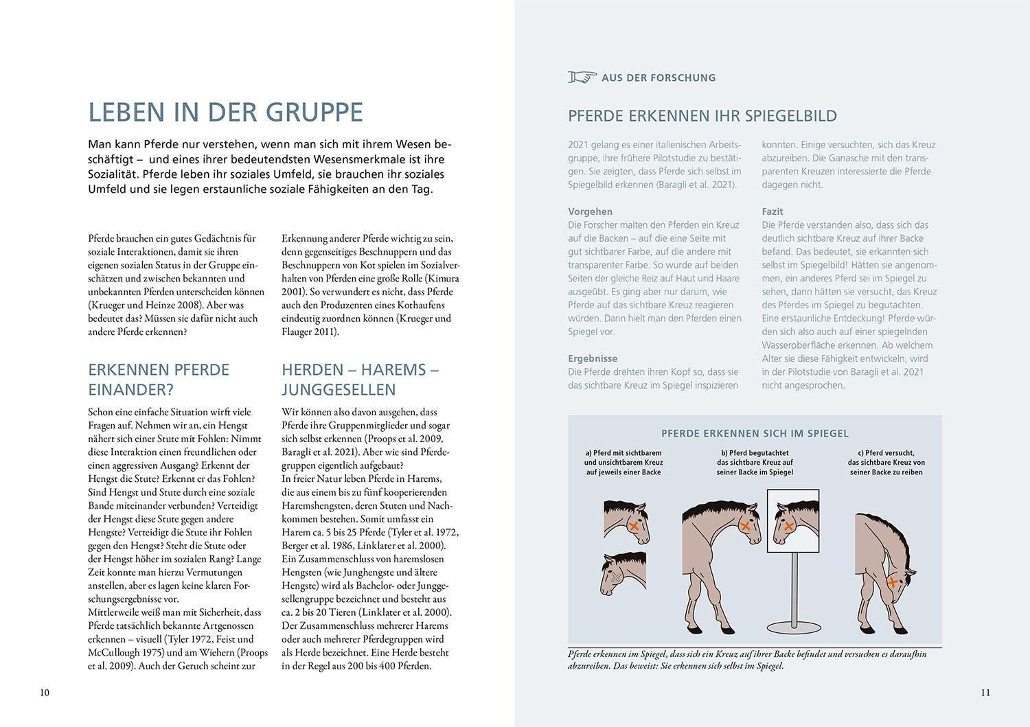 Forschung trifft Pferd