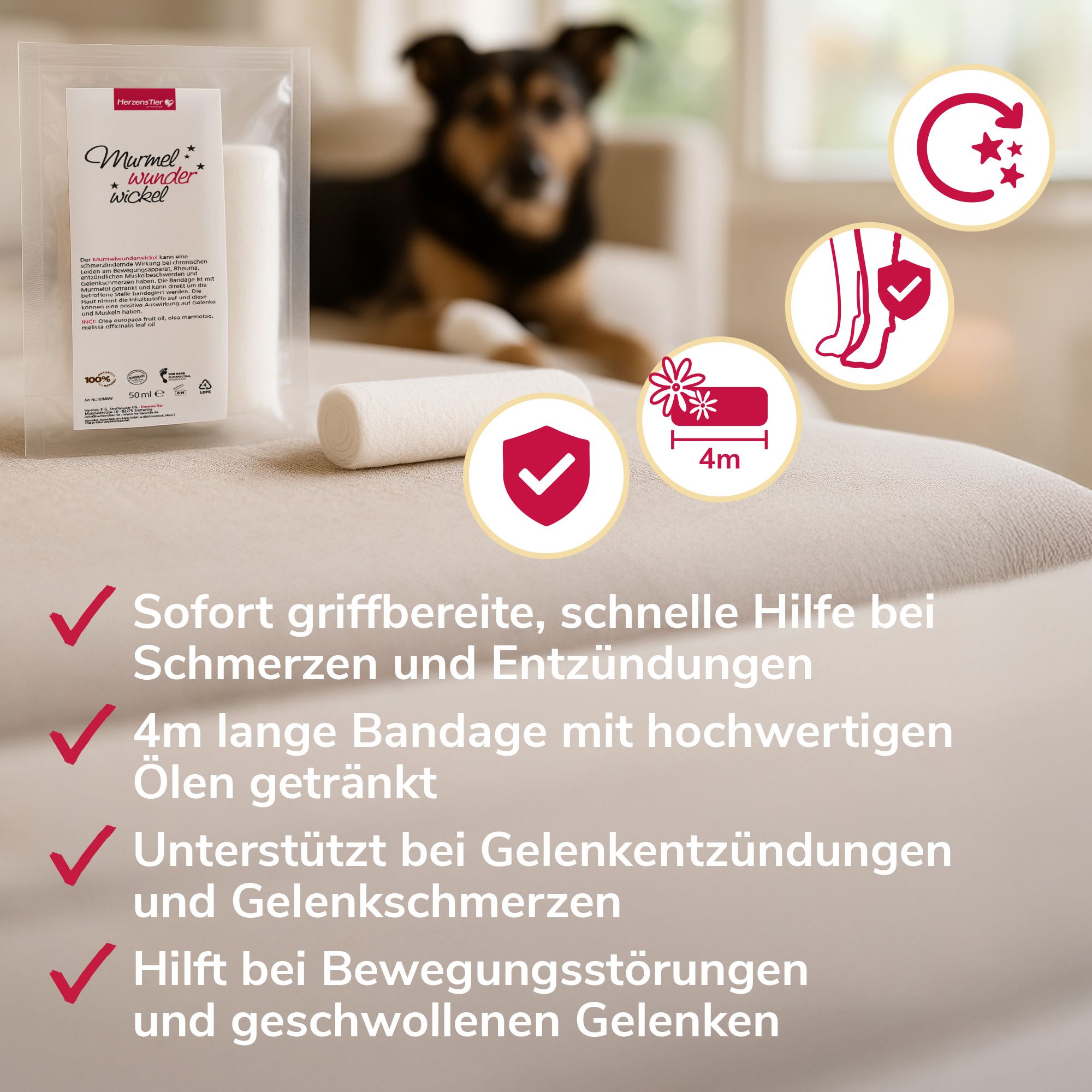 Produktverpackung und Wickel. Text: Sofort griffbereite Hilfe bei Schmerzen und Entzündungen. 4m lange Bandage.