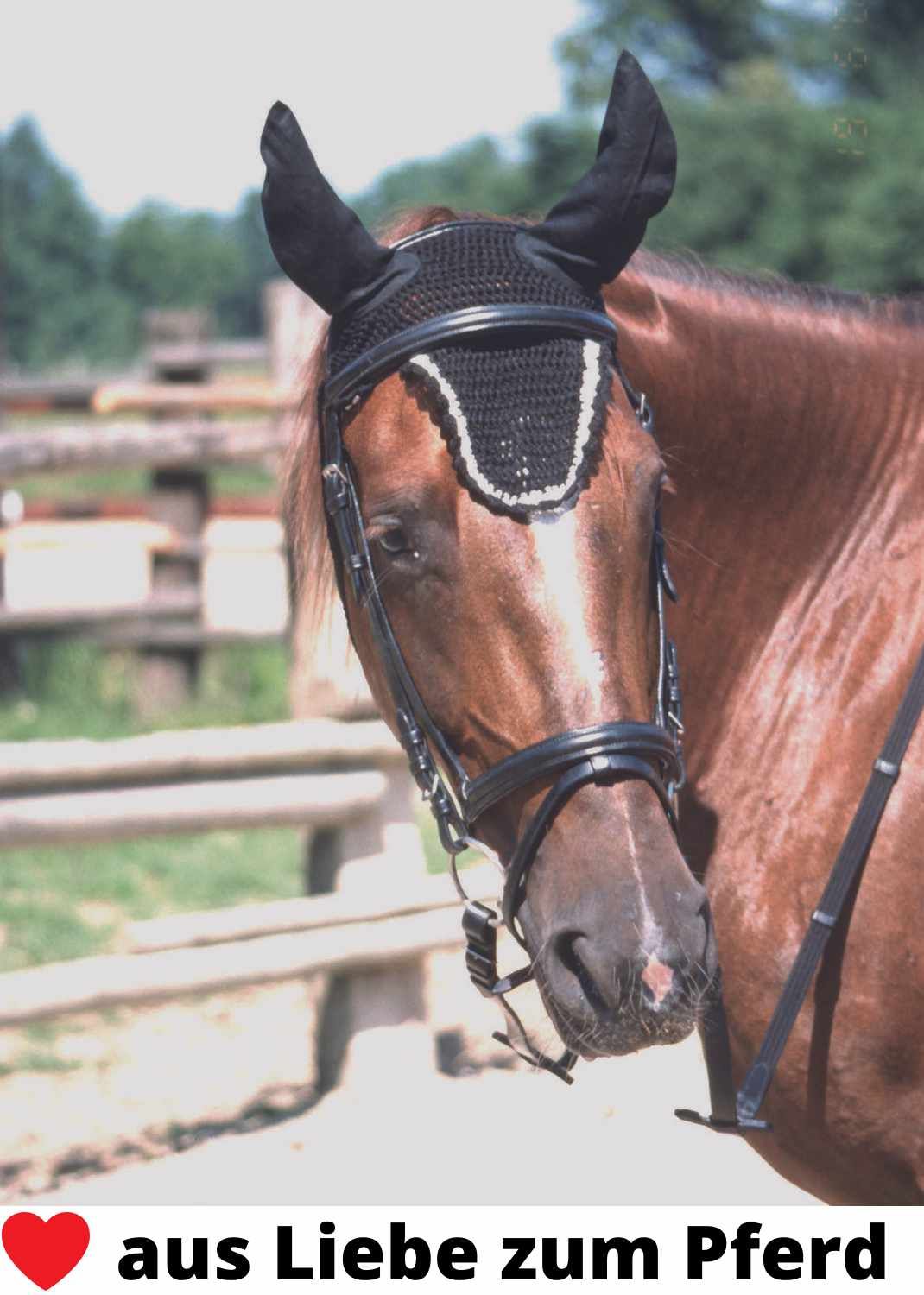 HorseGuard Nasenfliegenschutz 1 St