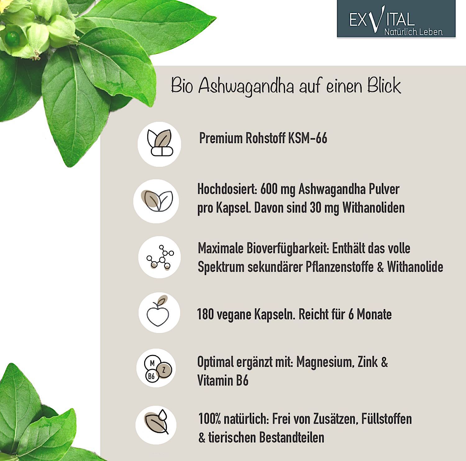 EXVital Bio Ashwagandha KSM Premiumrohstoff Mg Pro Kapsel G Shop Apotheke