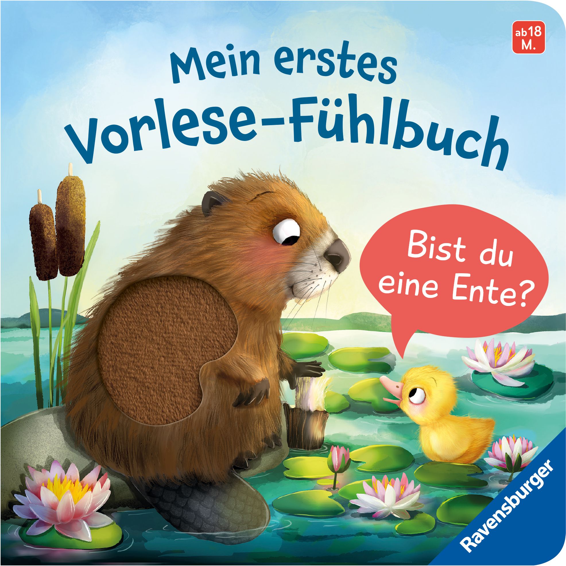 Buchcover mit Biber und Ente. Titel: Mein erstes Vorlese-Fühlbuch: Bist du eine Ente? Mit Fühlelement.