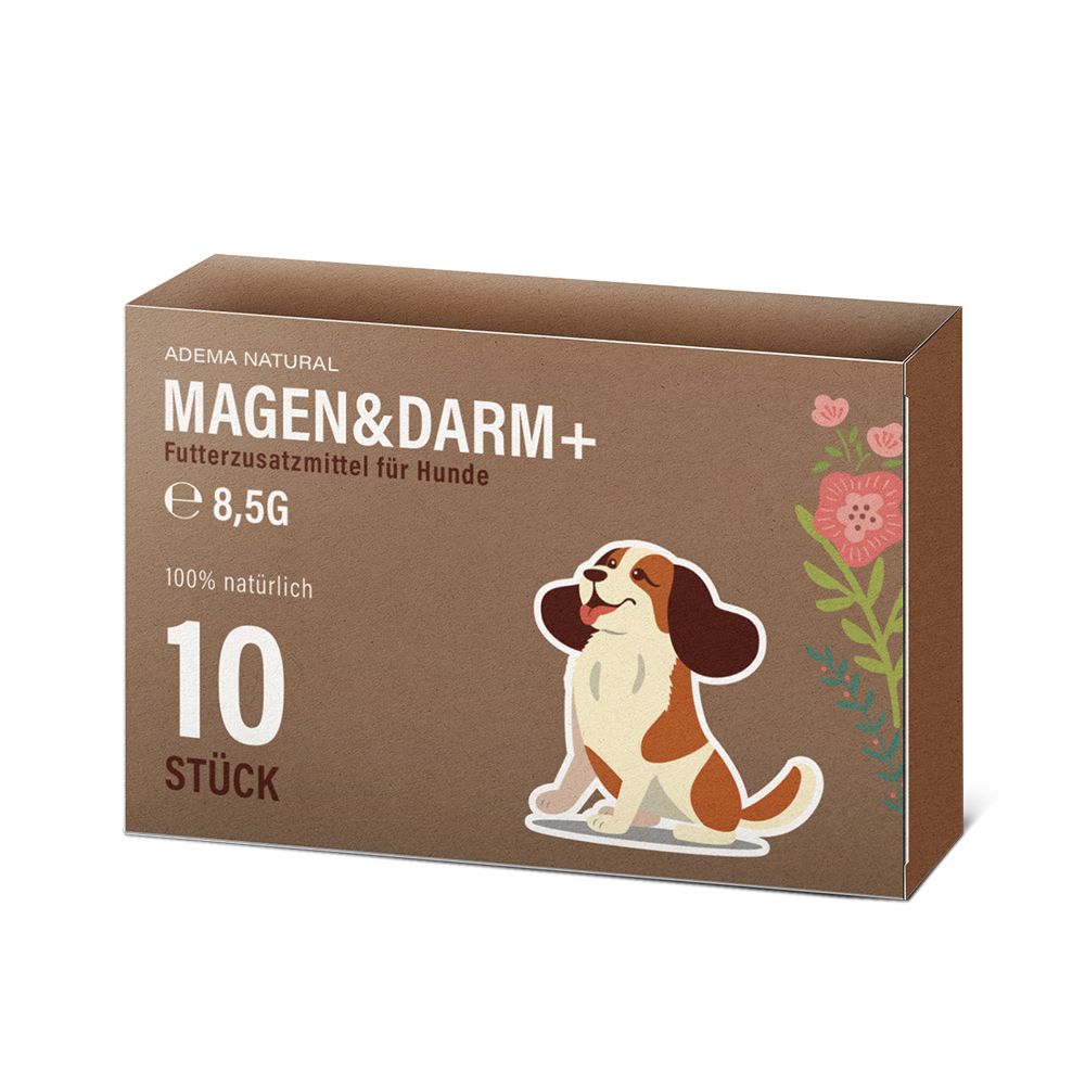 Braune Schachtel mit Aufschrift Magen&Darm+ für Hunde, 10 Stück, 8,5g. Abbildung eines Hundes. Blumenmuster.
