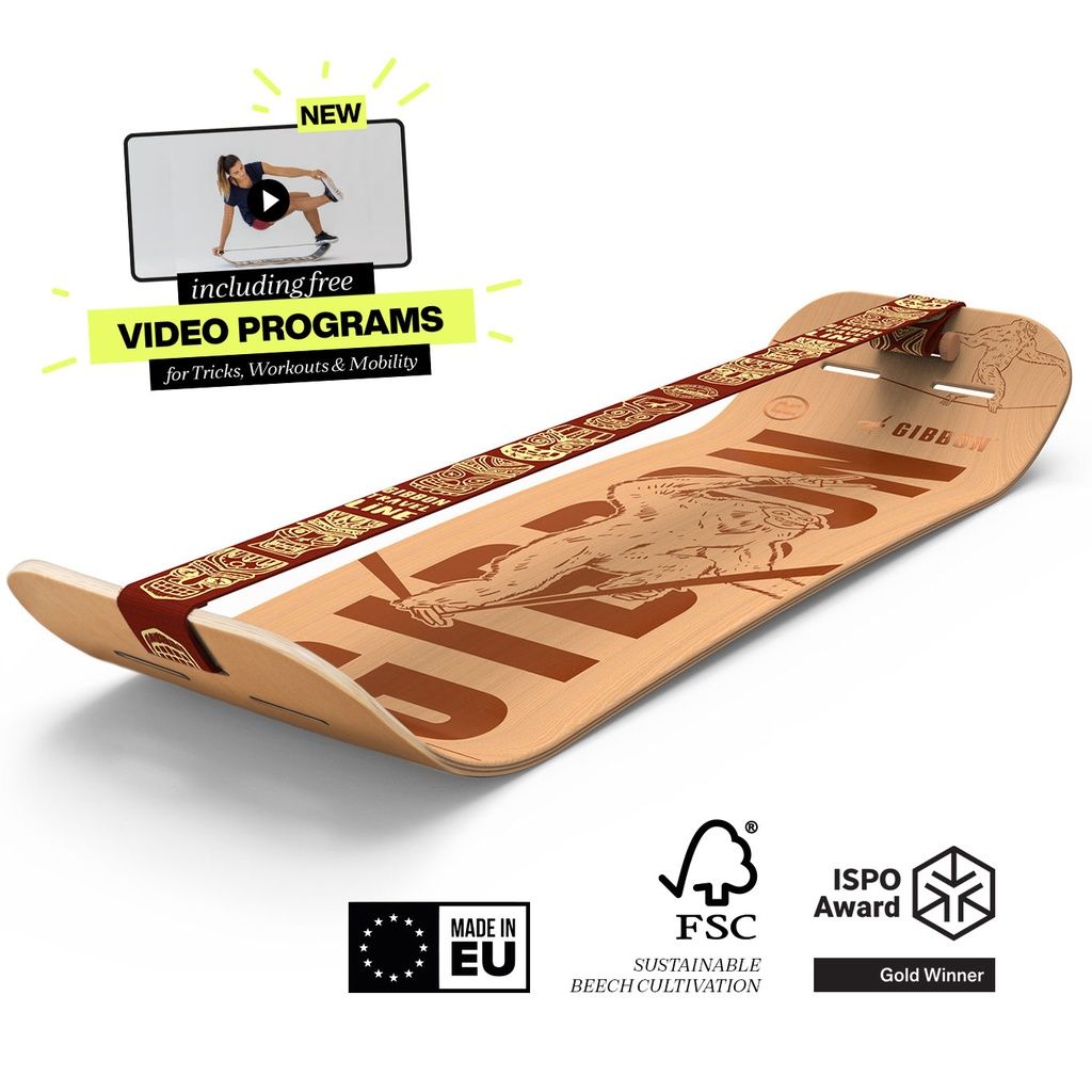 Balance Board mit rotem Gurt. Text: VIDEO PROGRAMS. Zertifizierungen: EU, FSC, ISPO Award. Holzoptik.