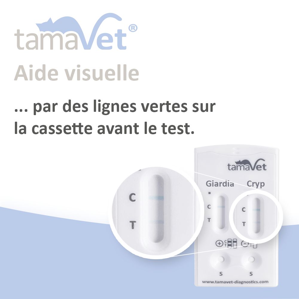 Cassette de test avec ligne verte. Texte : Aide visuelle...par des lignes vertes sur la cassette.