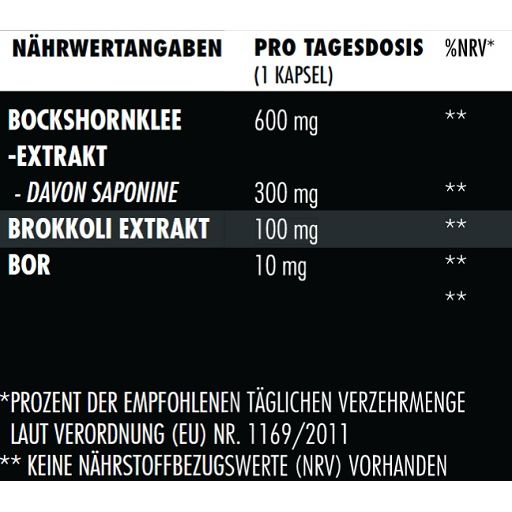Big Zone Bor+