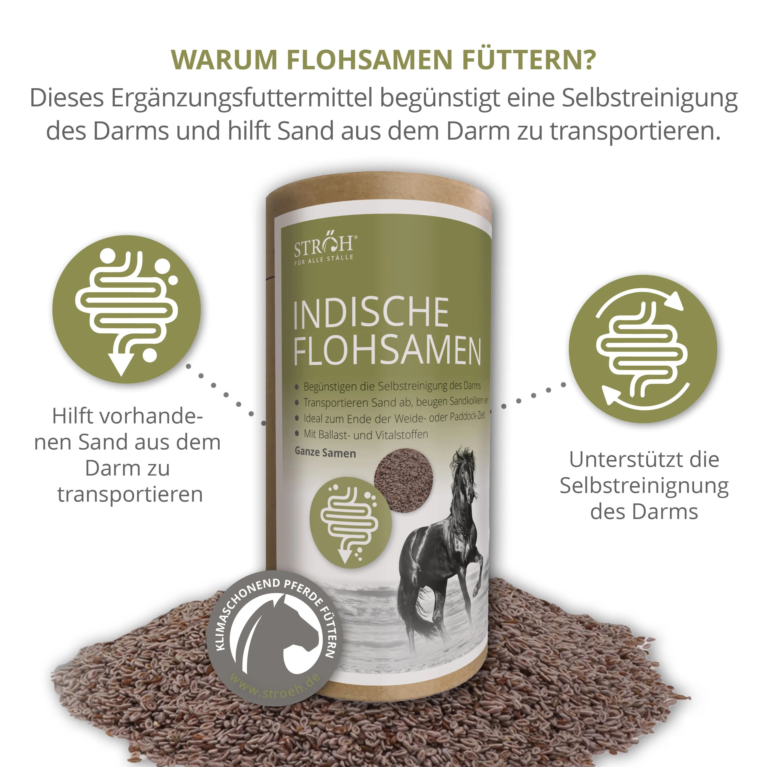 STRÖH indische Flohsamen  Feedbox Dose