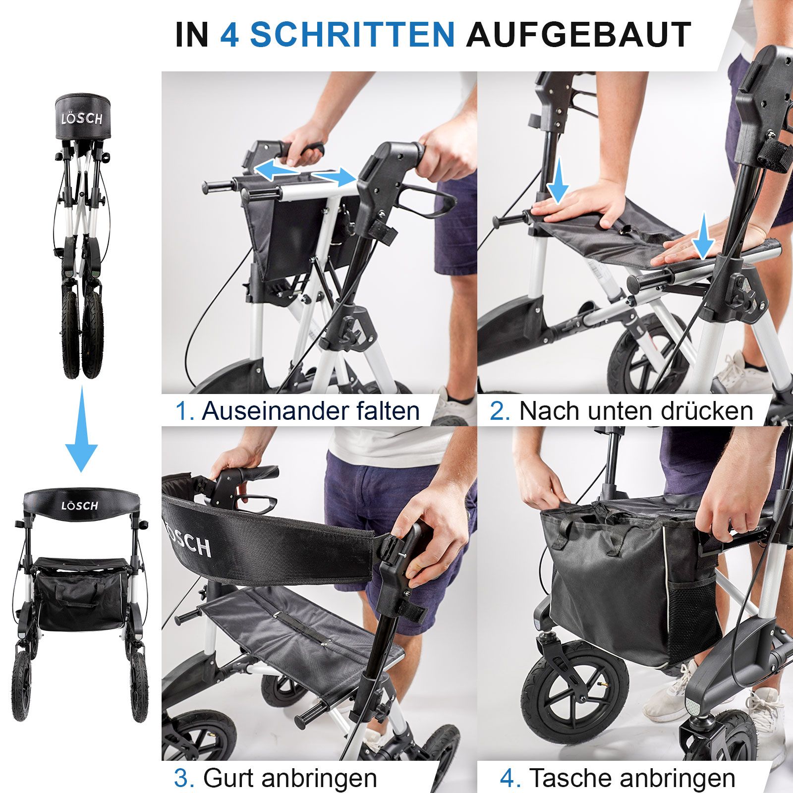 Rollz Motion Sicherheitsgurt kaufen