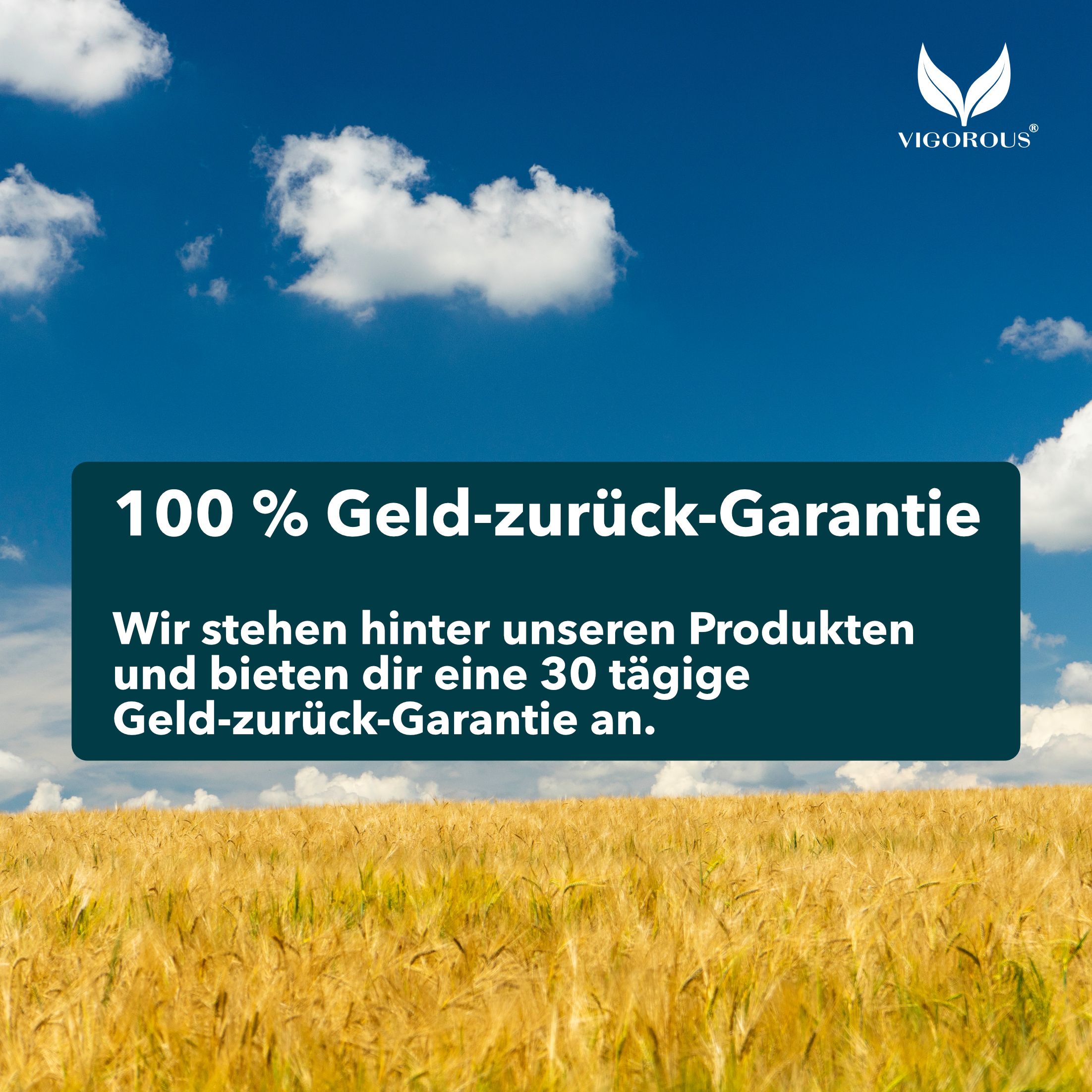 Feld unter blauem Himmel. Text: 100 % Geld-zurück-Garantie. Marke: VIGOROUS®.
